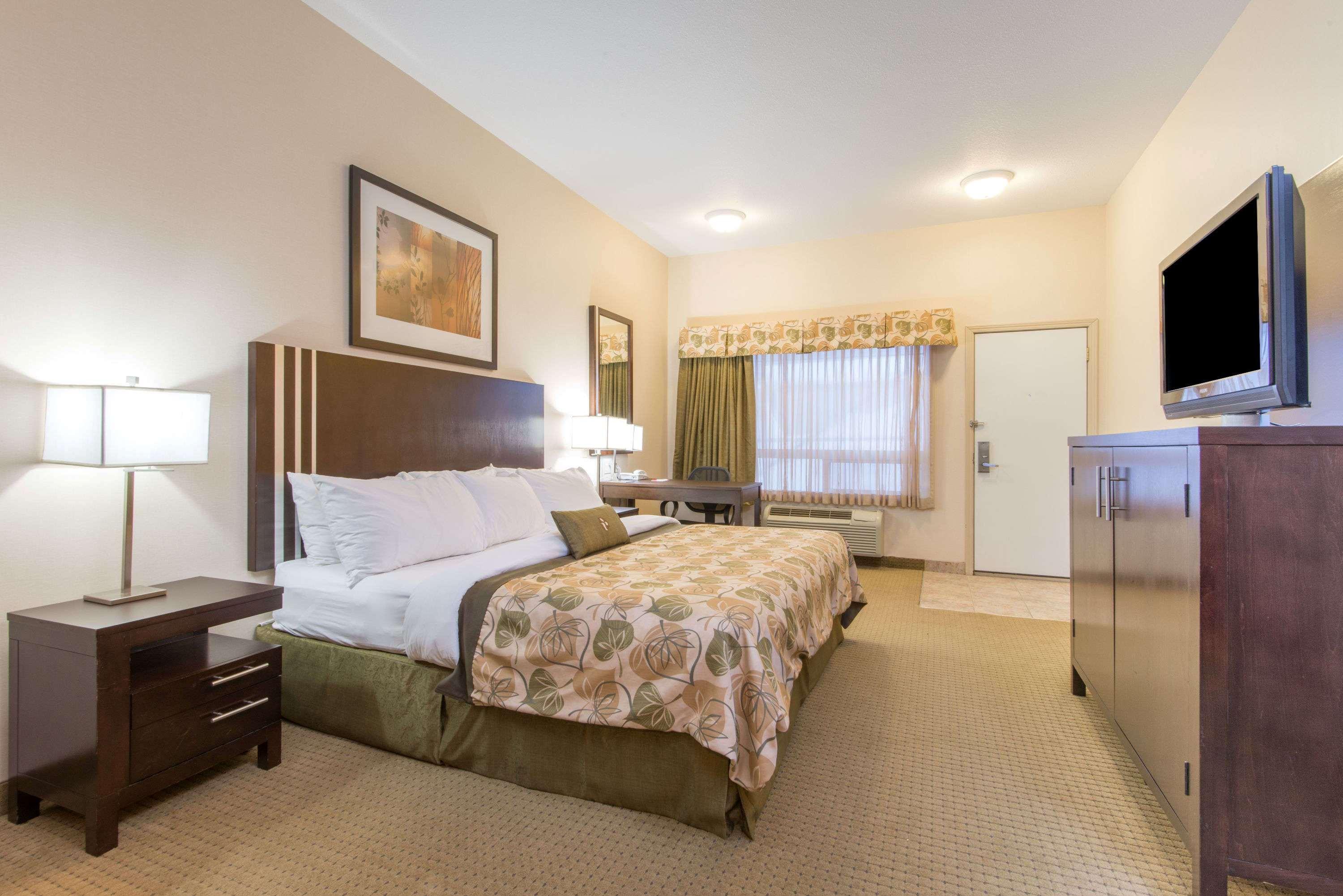 Ramada Wainwright — photo 4