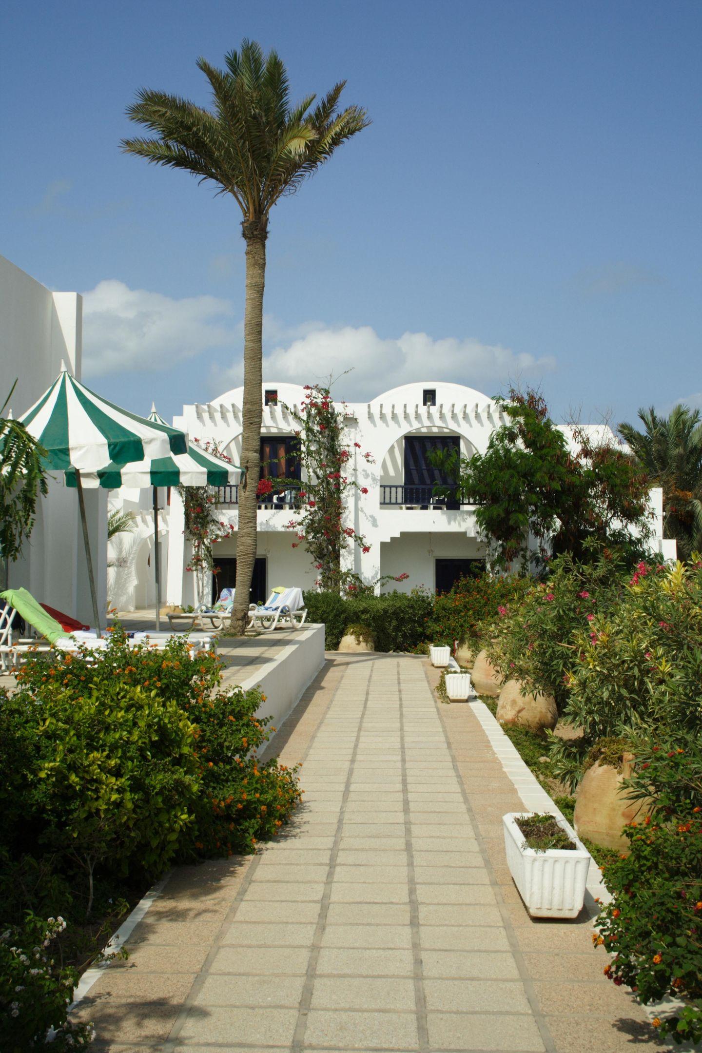 Jasmina Playa — photo 3