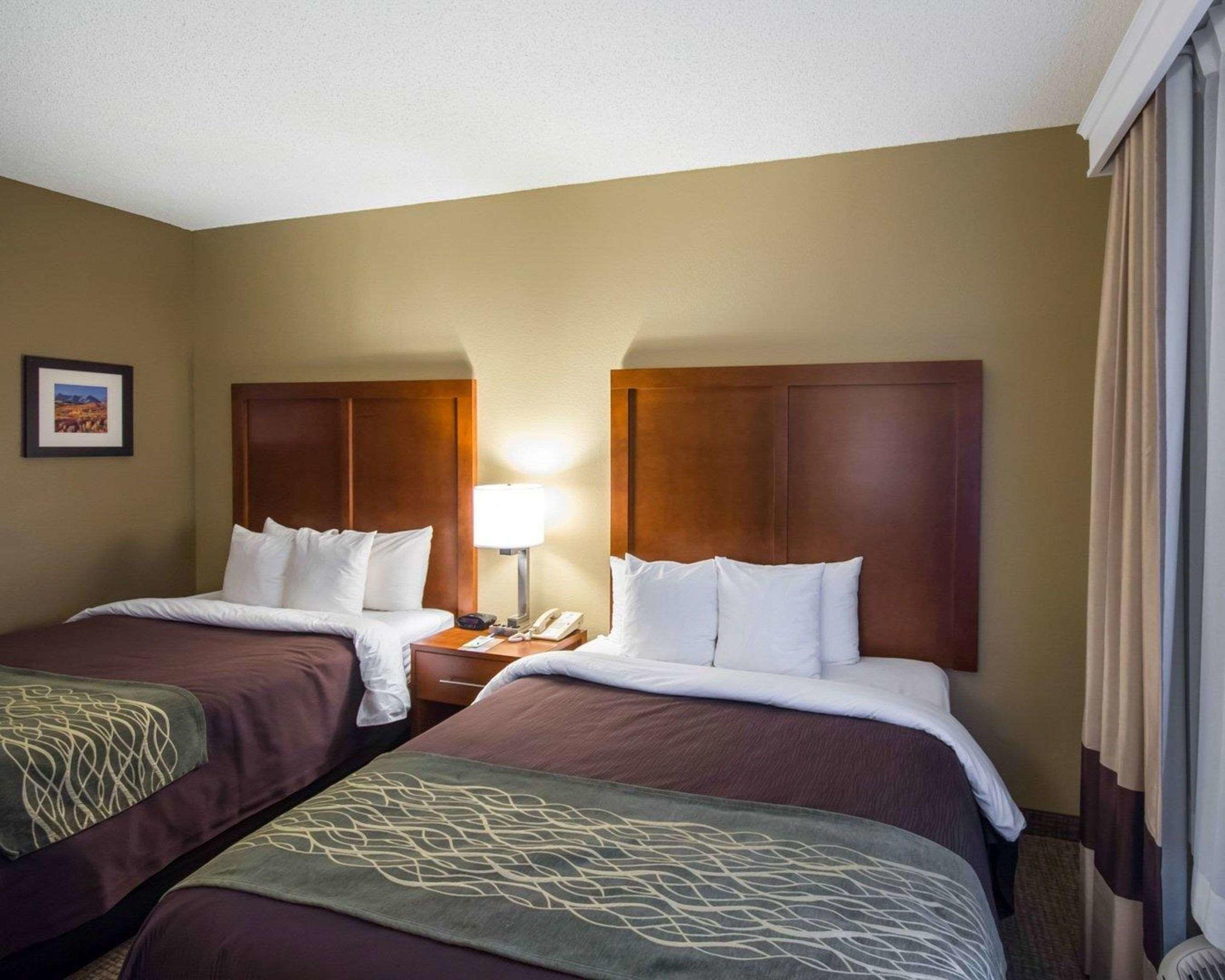 Comfort Inn & Suites — photo 5