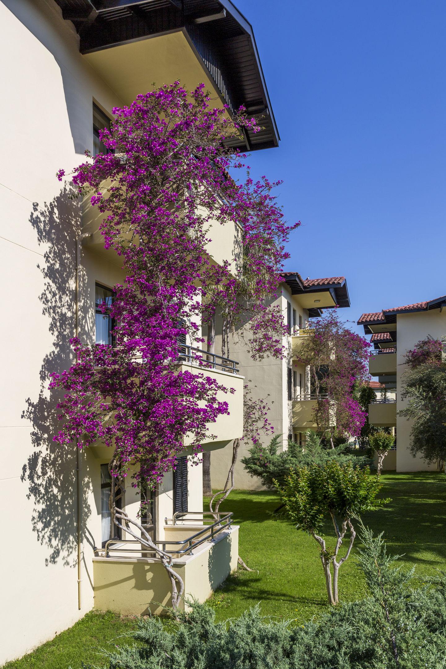Melas Holiday Village — photo 5