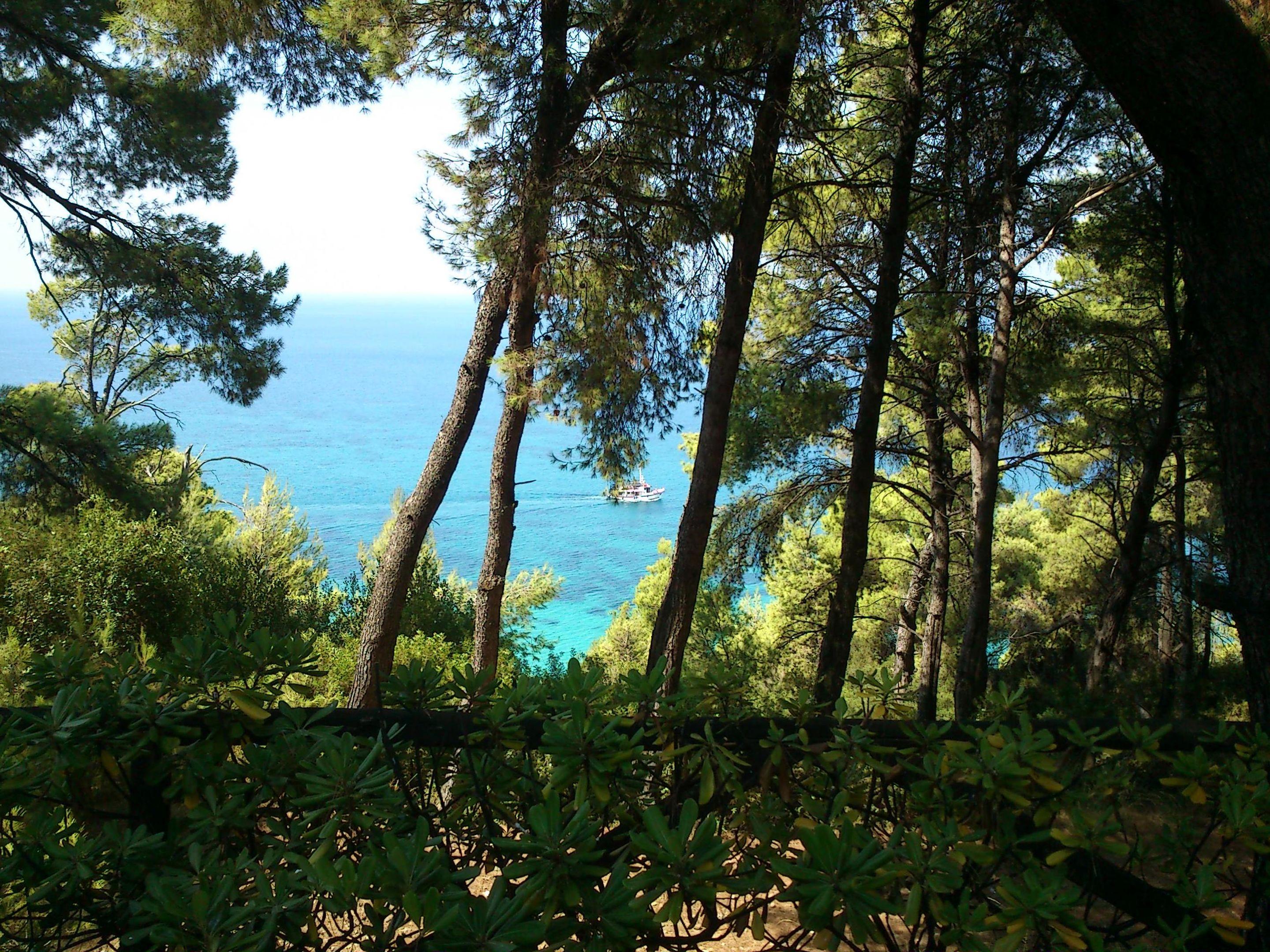 Dryades — photo 5