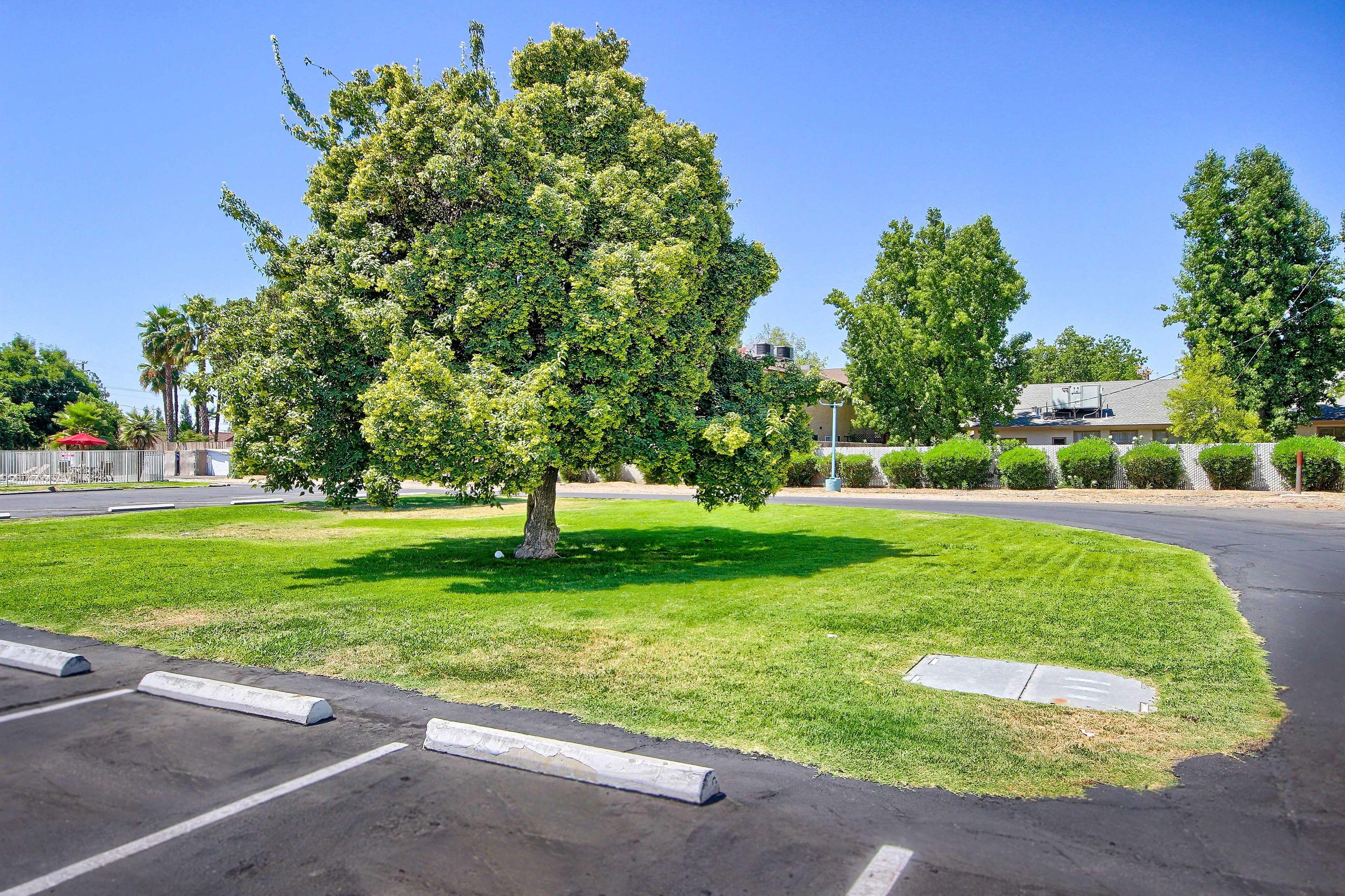Motel 6 Fresno - Blackstone North — photo 4