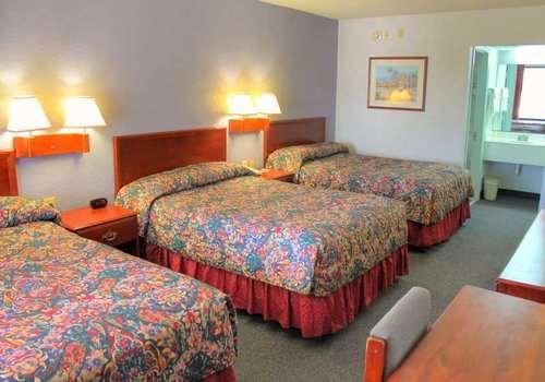 Regency Inn & Suites St. Augustine — photo 4
