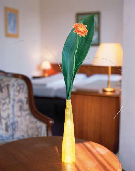 Hotel Villa Carlton — photo 4