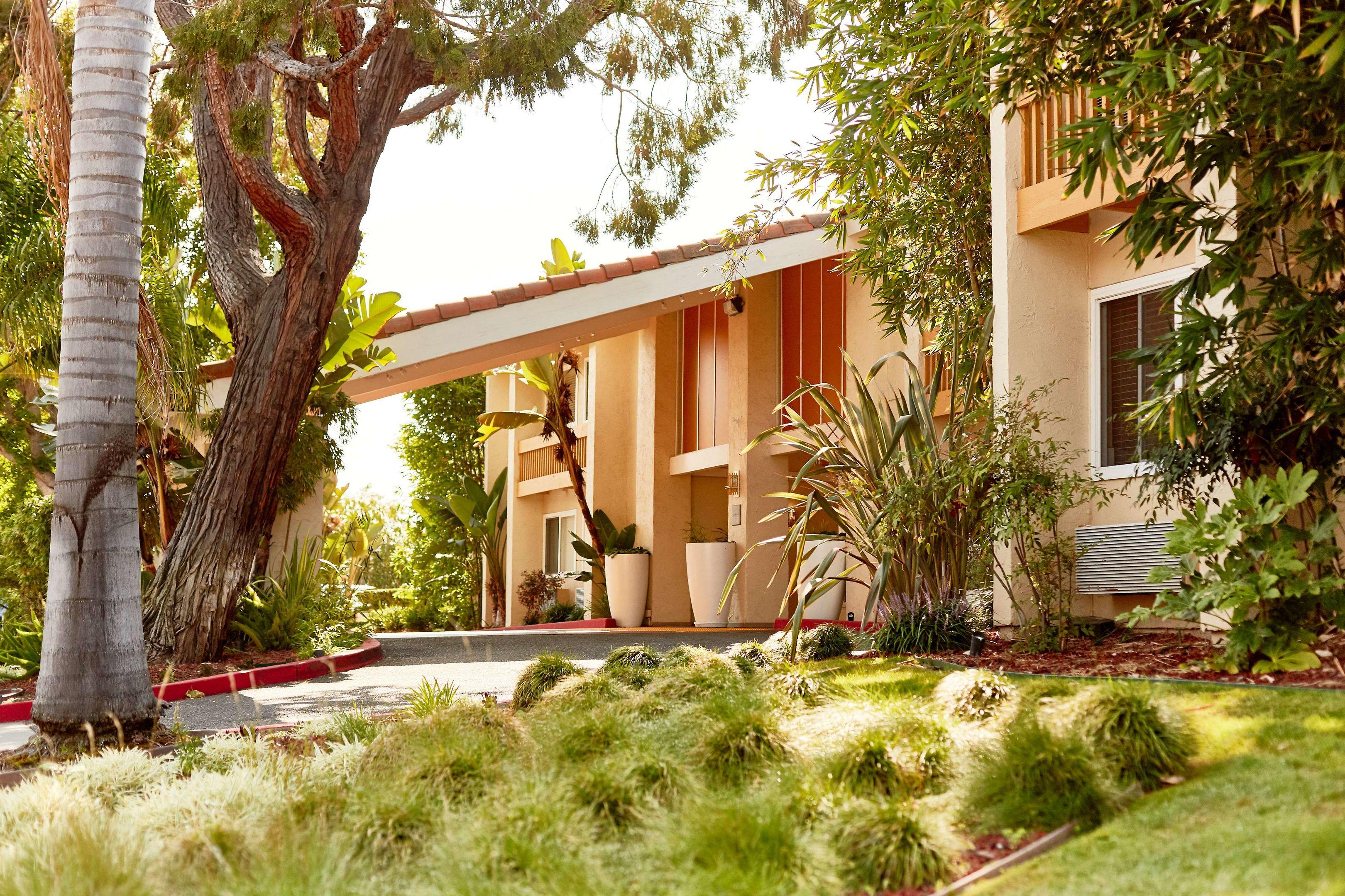 Wild Palms Hotel — photo 4