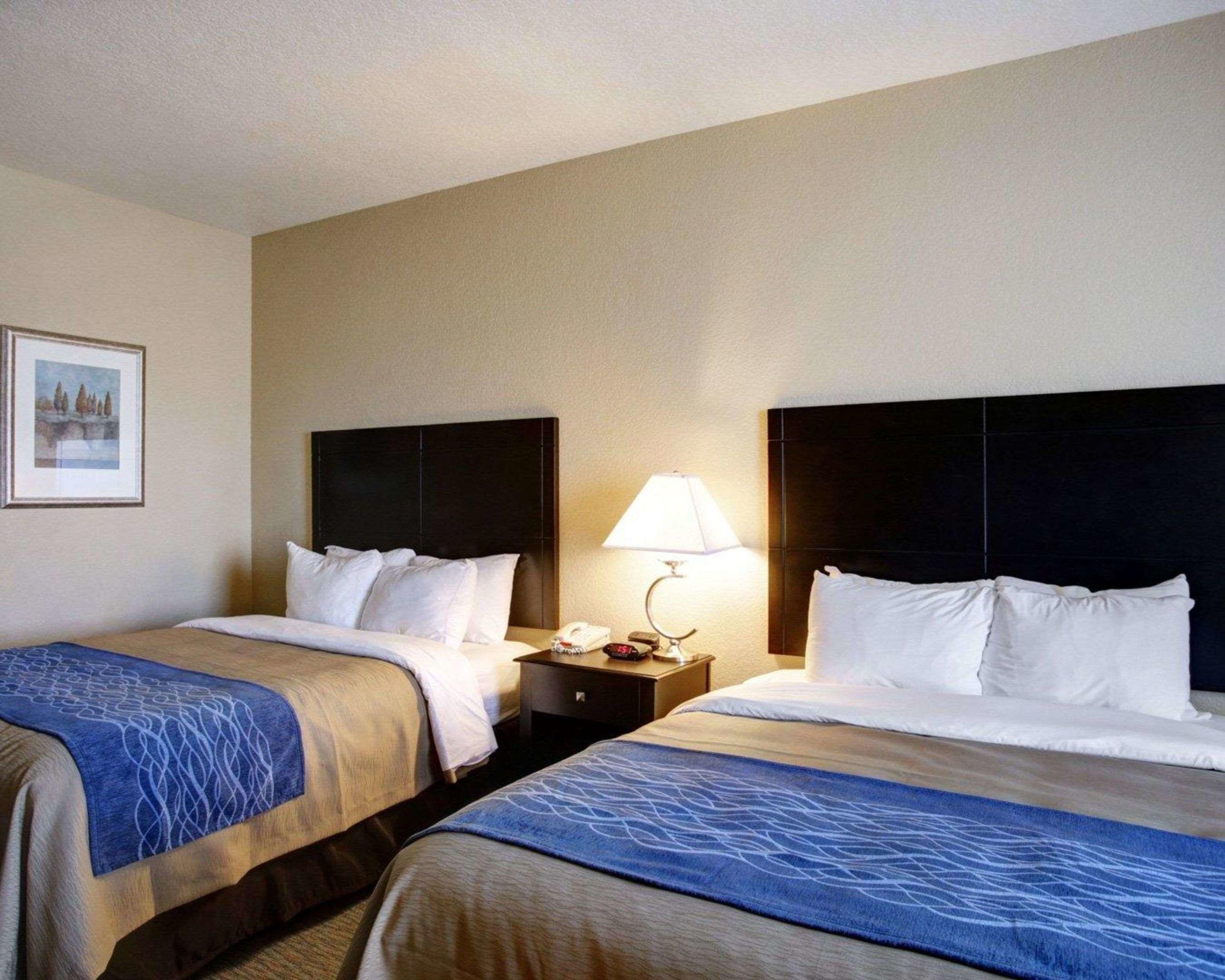 Comfort Inn & Suites — photo 3