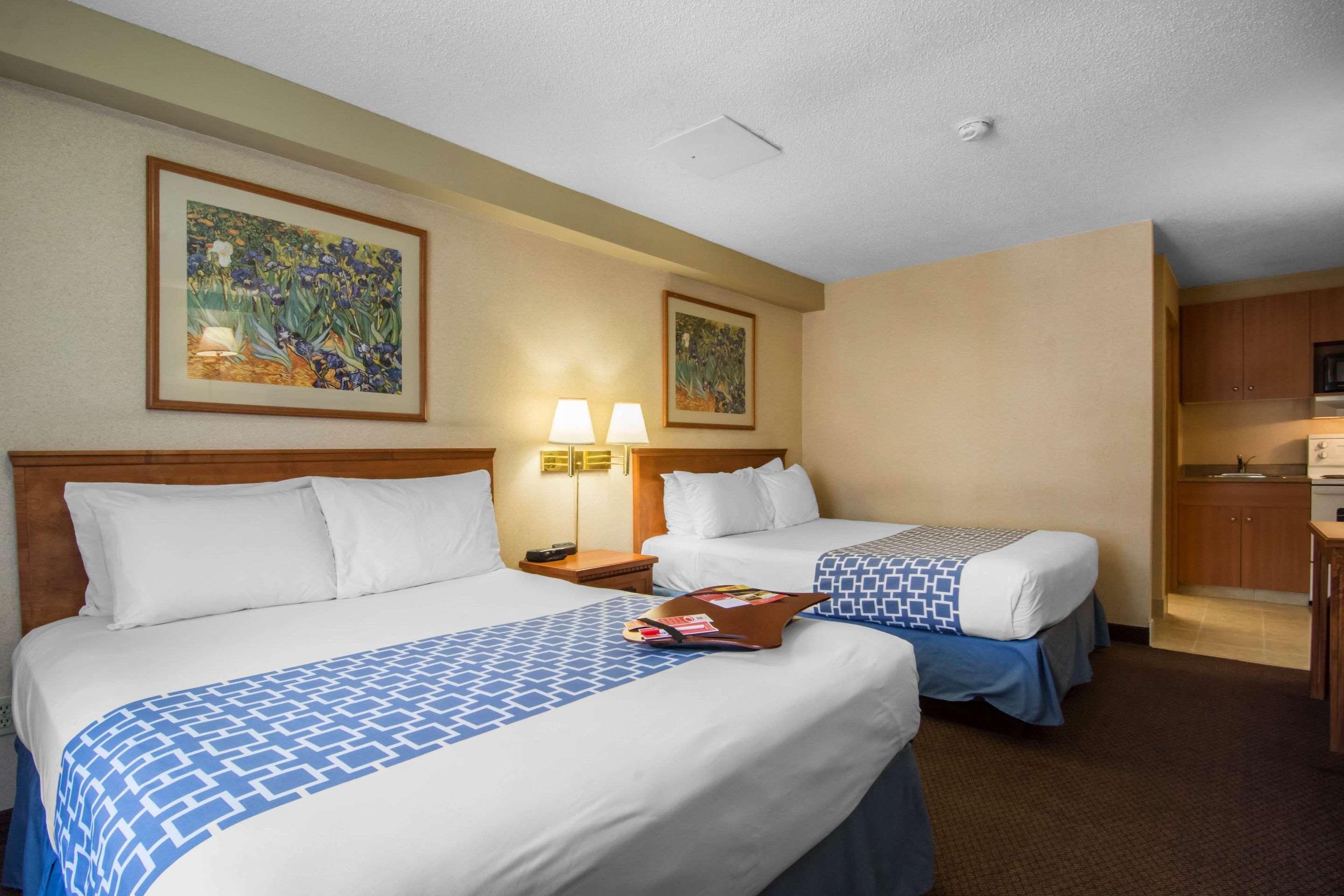 Econo Lodge Inn & Suites University — photo 4