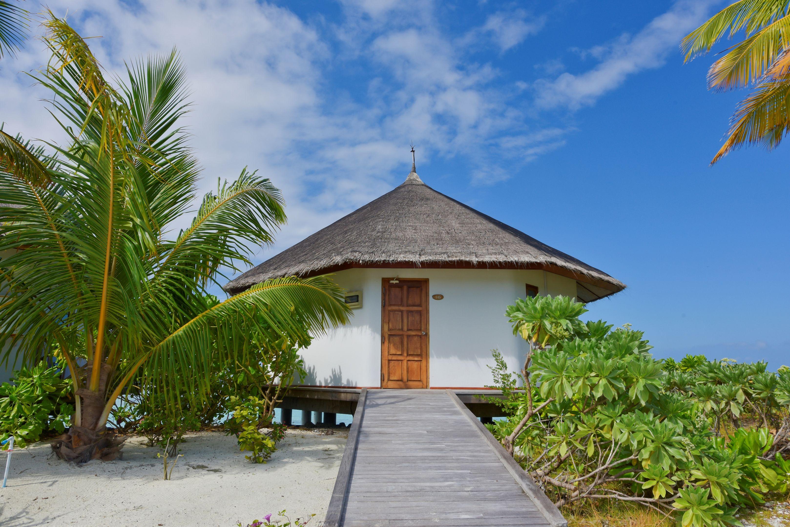 Safari Island Resort & Spa — photo 5