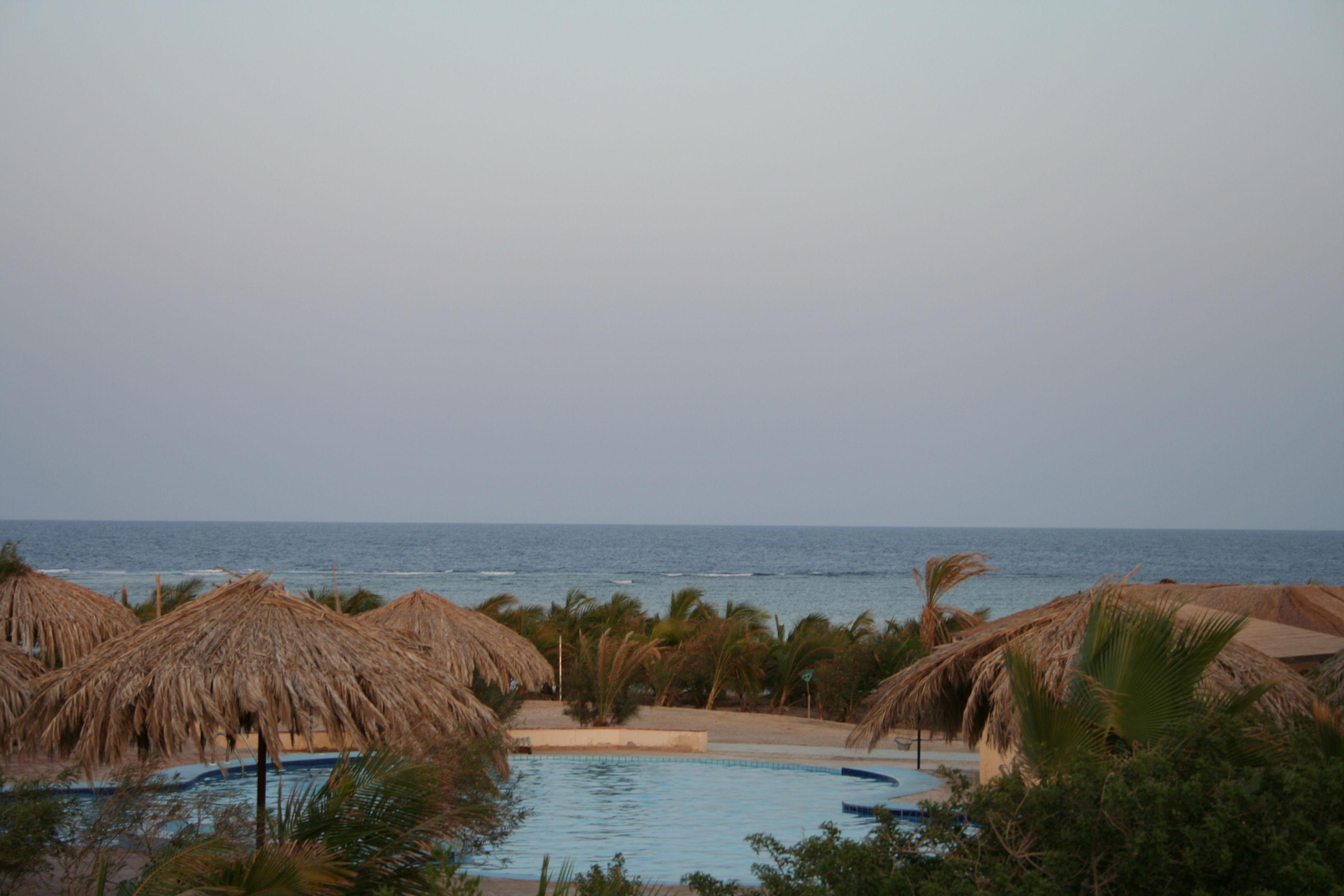Mangrove Bay Resort — photo 3