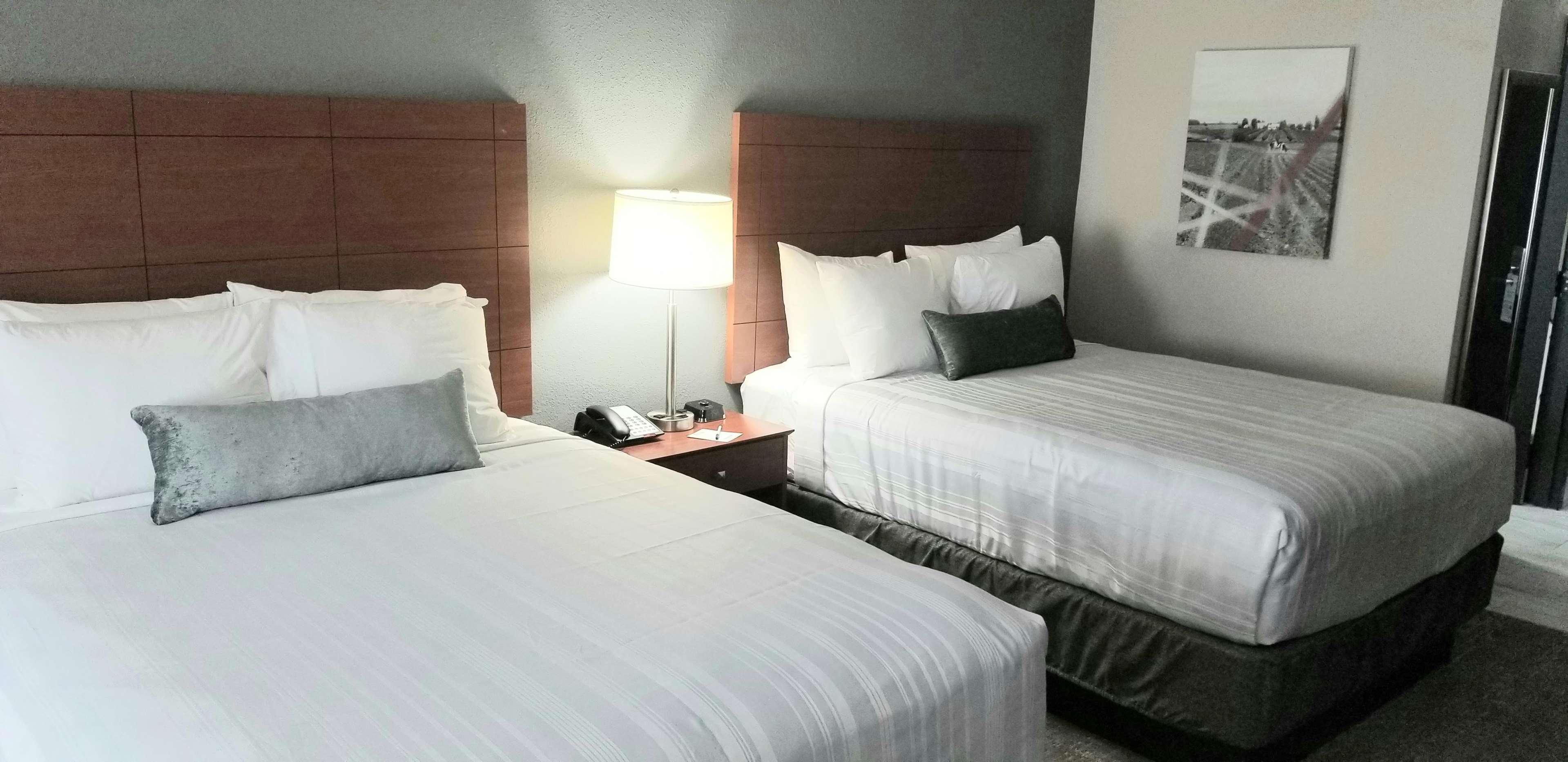 Baymont Inn & Suites Lexington — photo 4