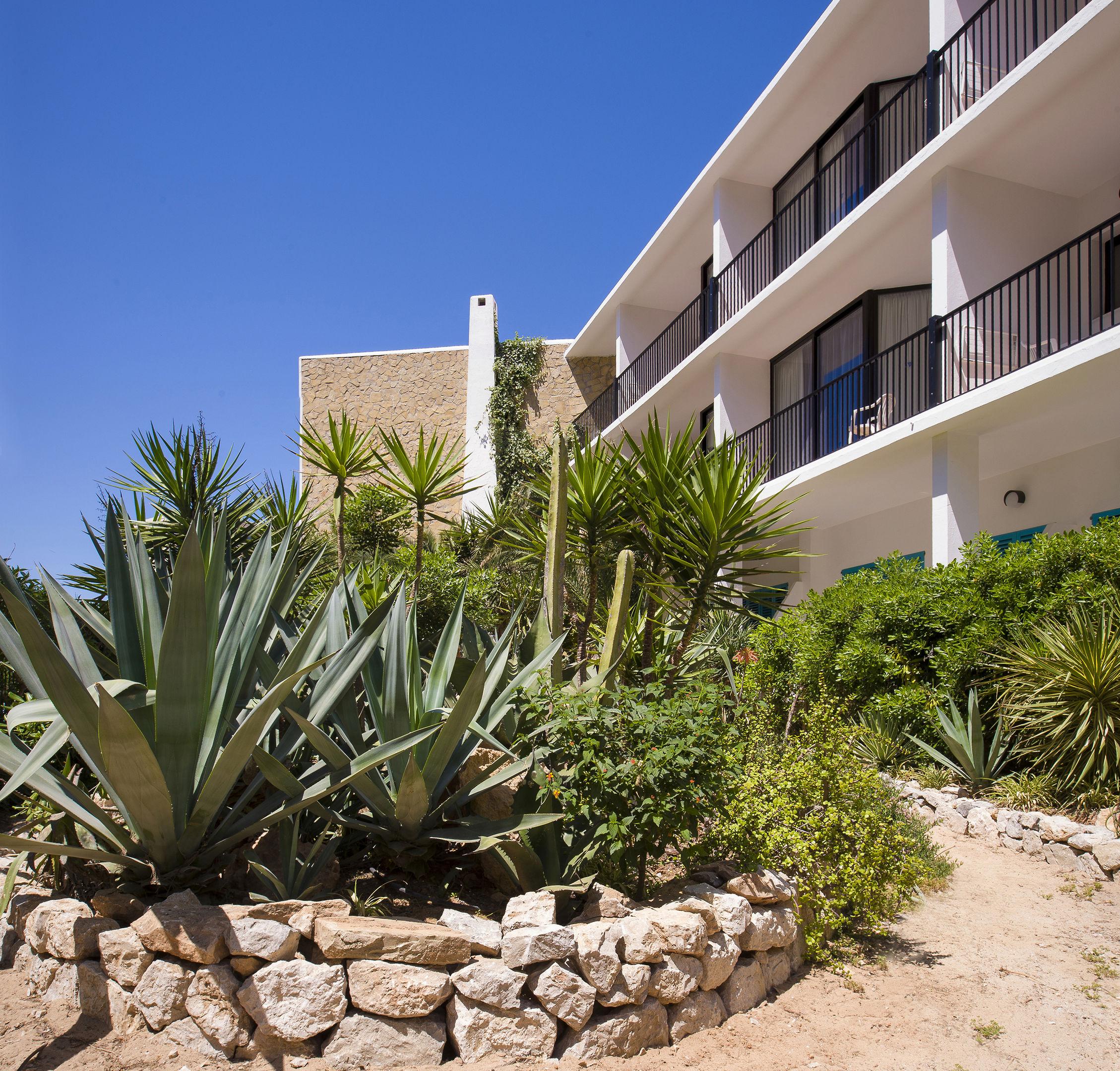 Osiris Ibiza — photo 5