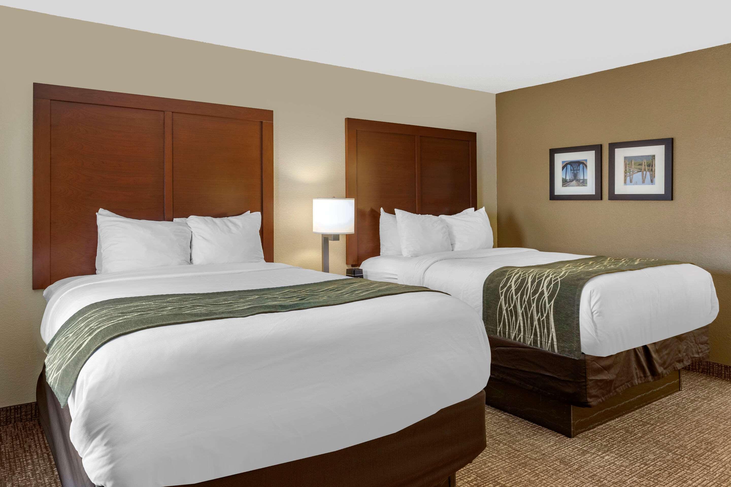Comfort Inn & Suites Airport — photo 5