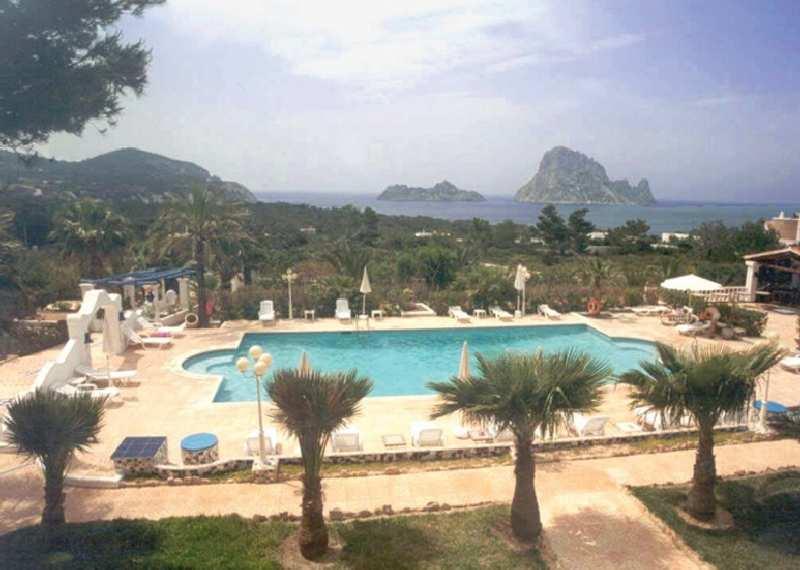 Petunia Ibiza — photo 5