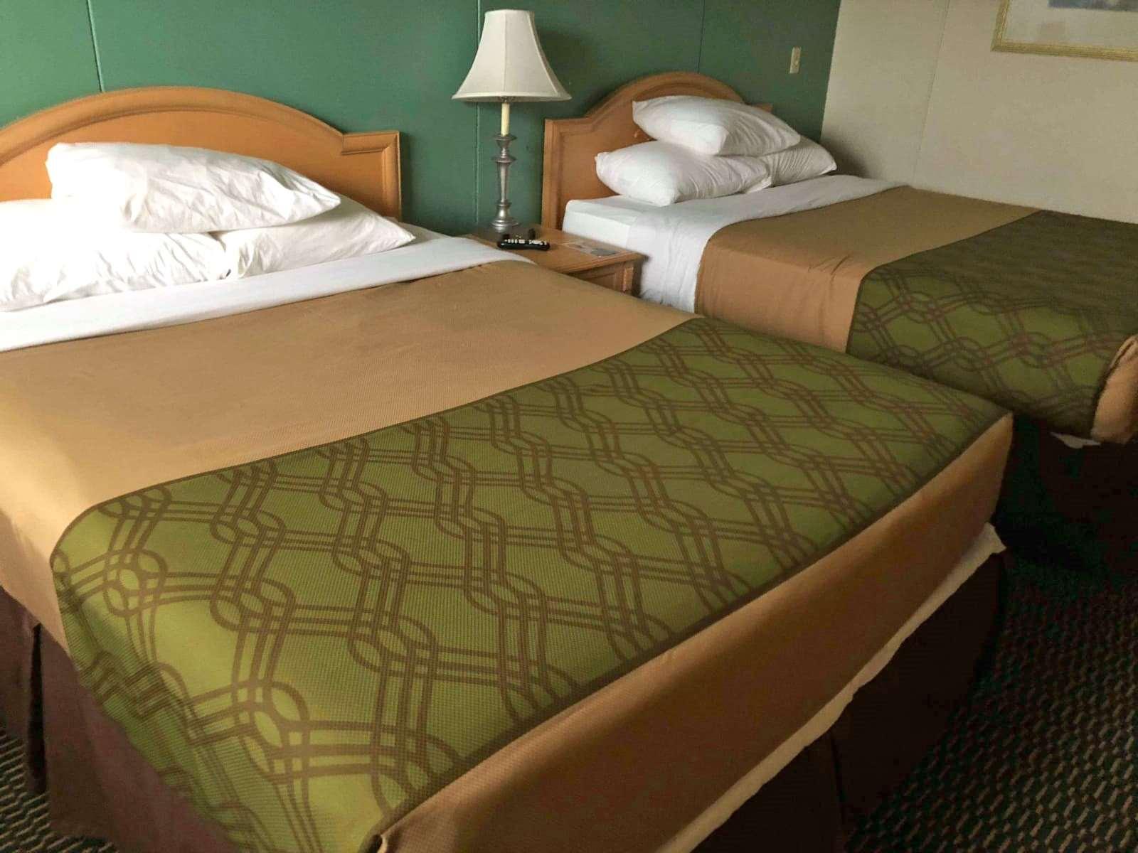 Knights Inn Winner — photo 4