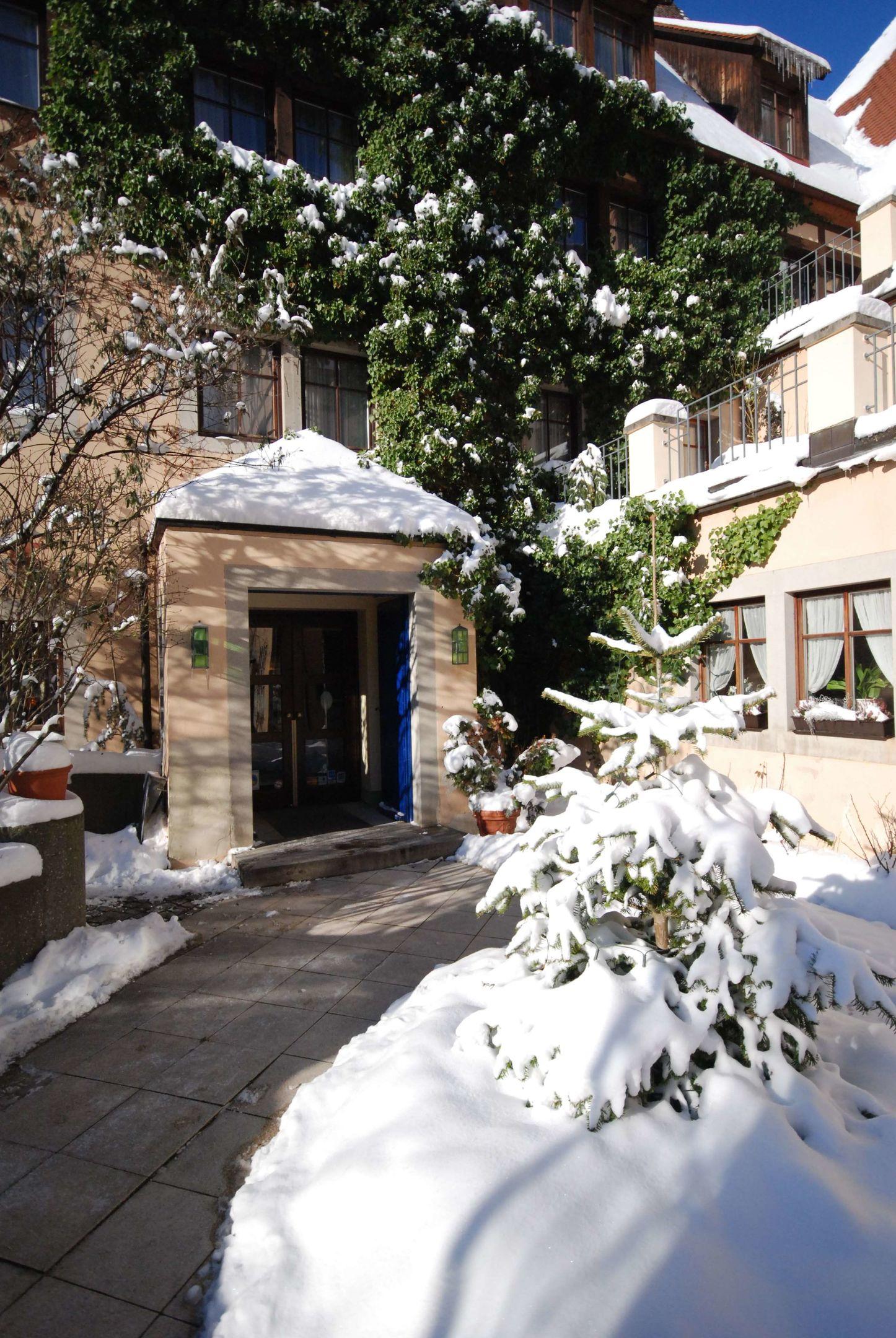 Prinz — photo 1