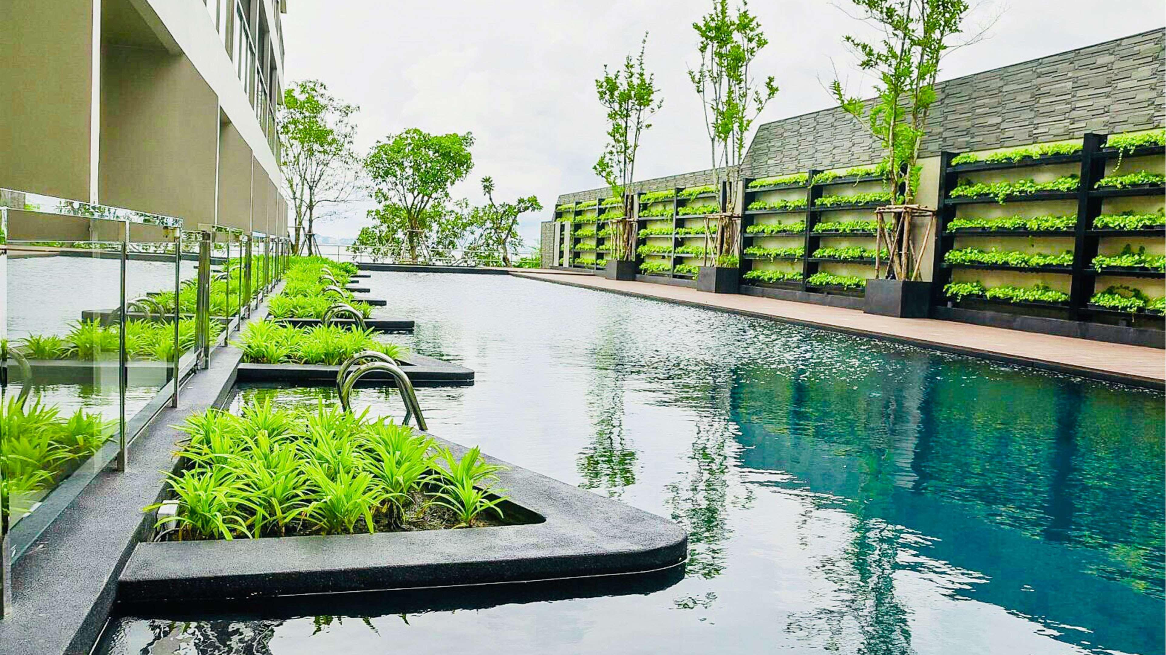 Golden Tulip Pattaya Beach Resort — photo 4