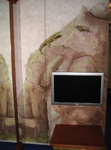 Drachen — photo 3