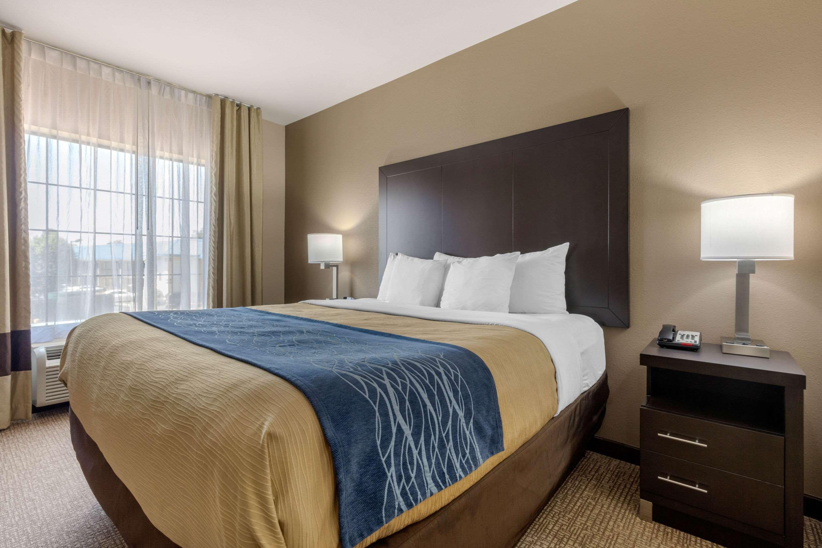 Comfort Inn & Suites Little Rock — photo 3