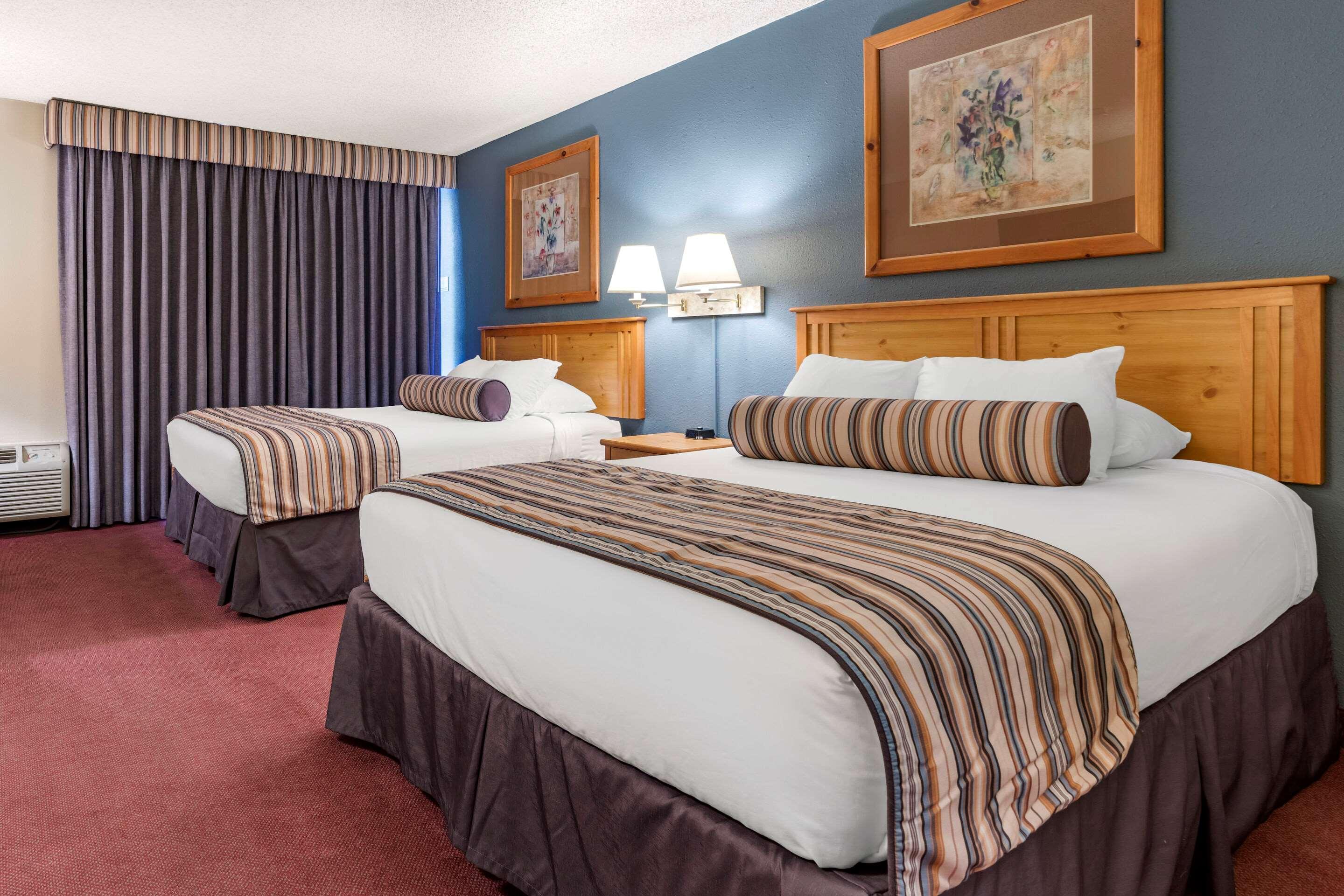 The Federal Hotel — photo 4
