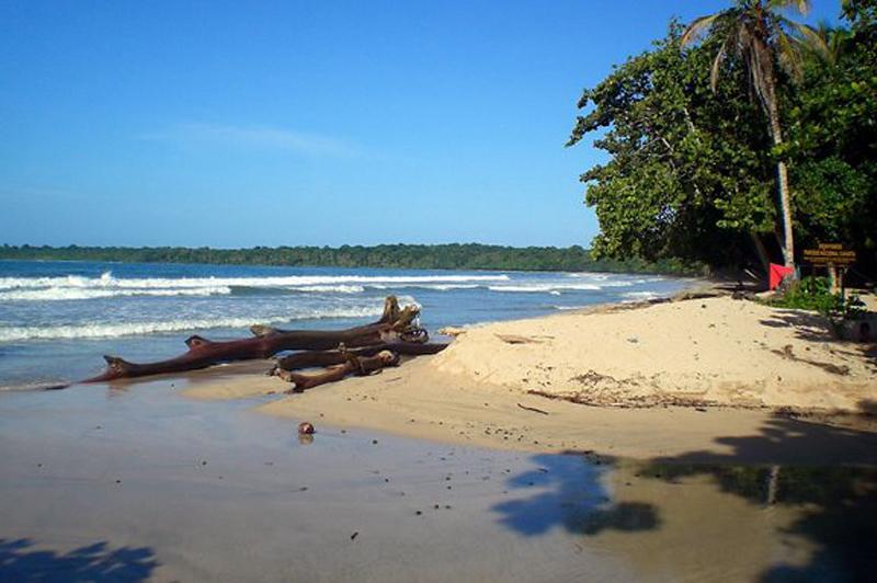 Cariblue Beach & Jungle Resort — photo 5