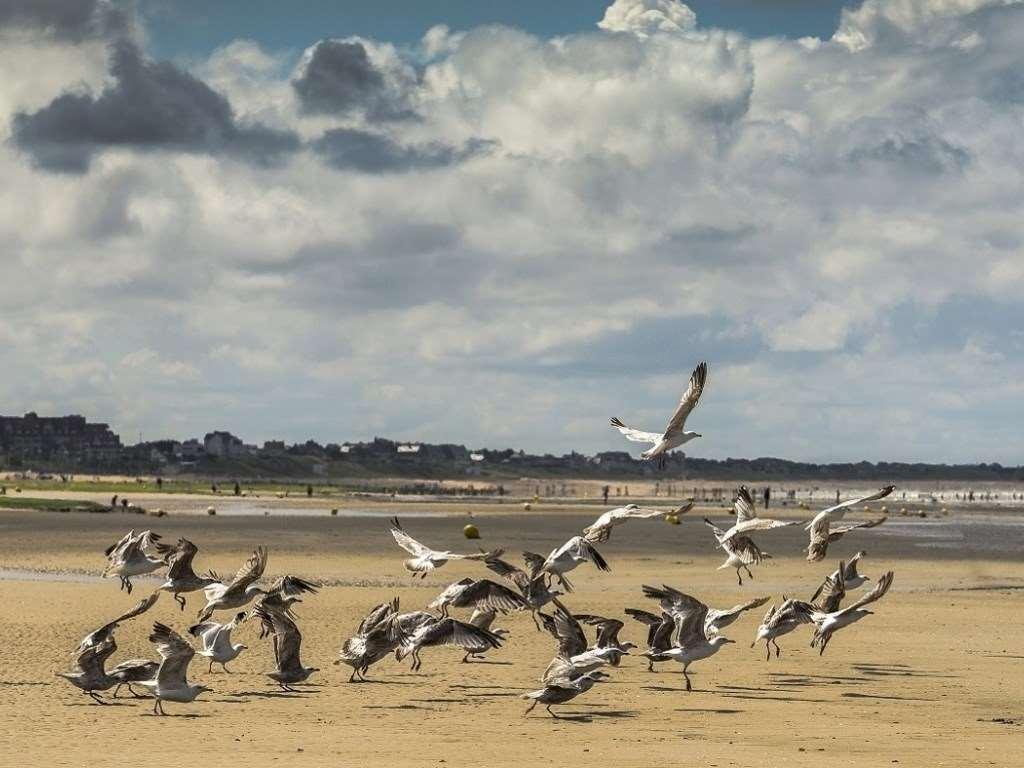 Le Grand Hôtel Cabourg - MGallery — photo 4