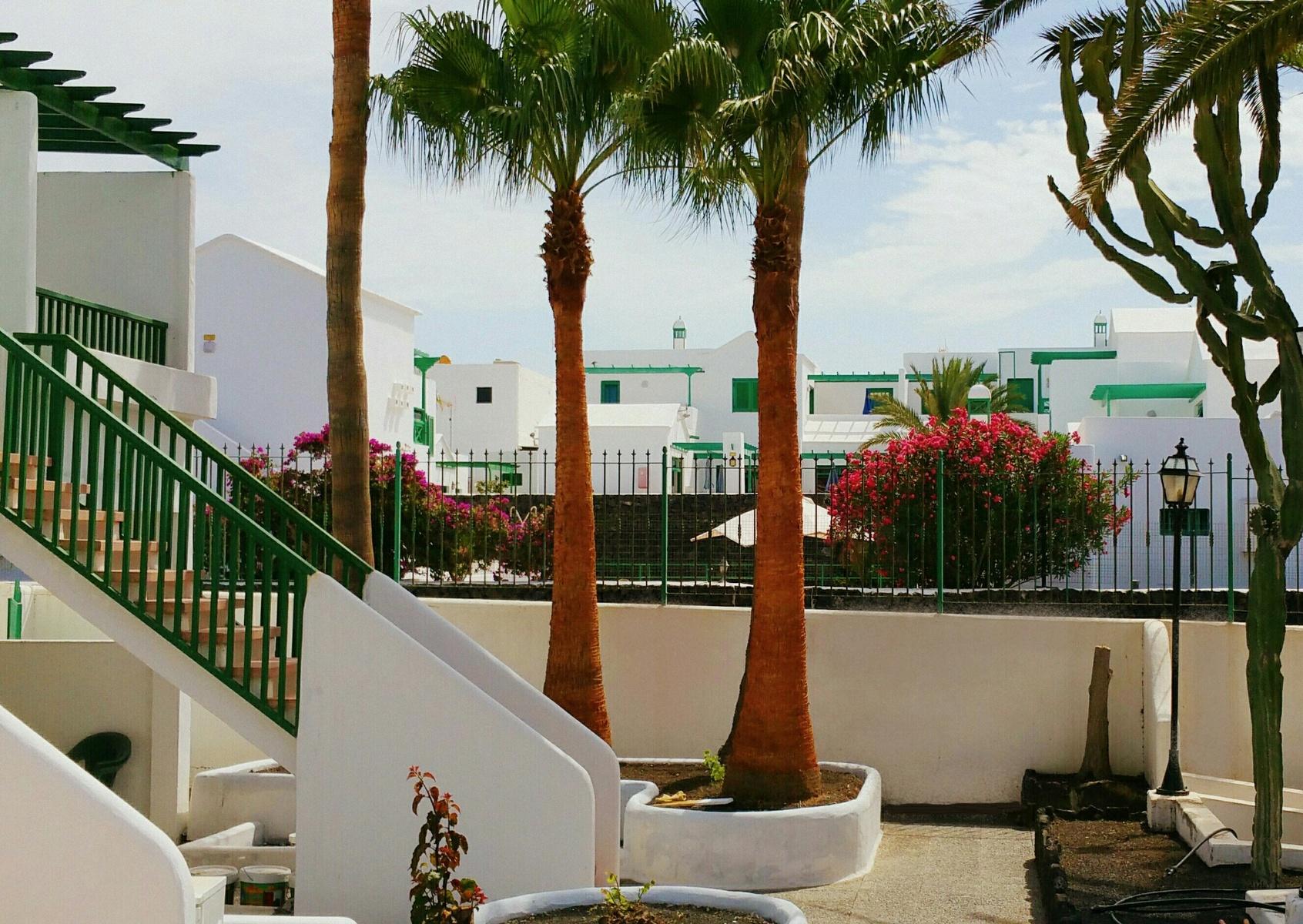 Apartamentos Tropicana — photo 4