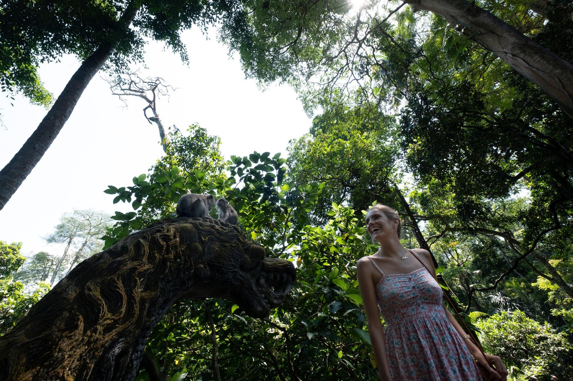 Adiwana Jembawan — photo 5