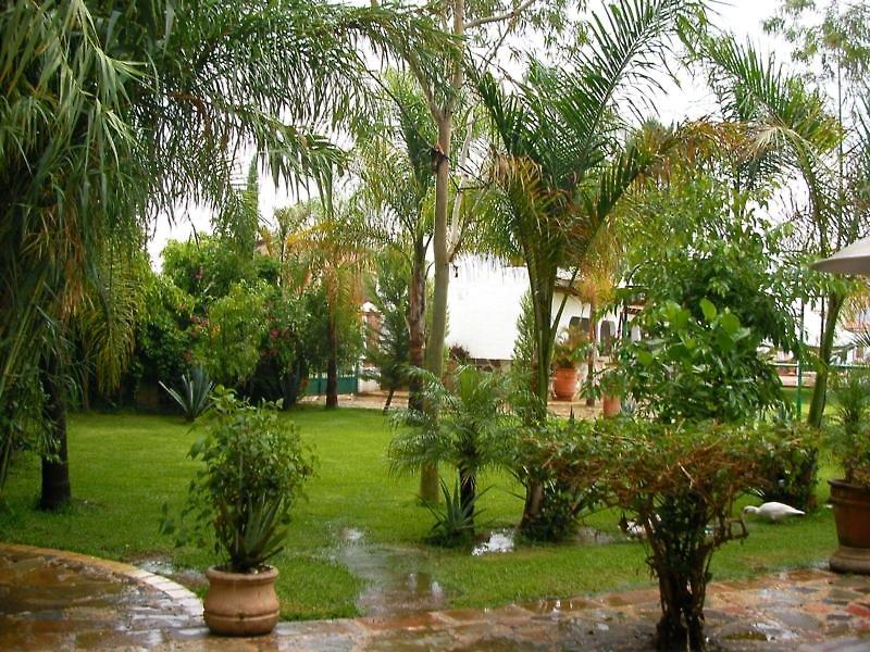 Hacienda la Puerta de Enmedio — photo 5