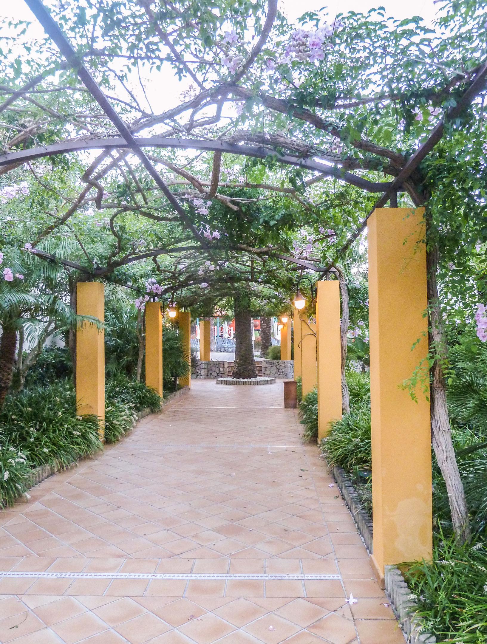 Zafiro Cala Mesquida — photo 4