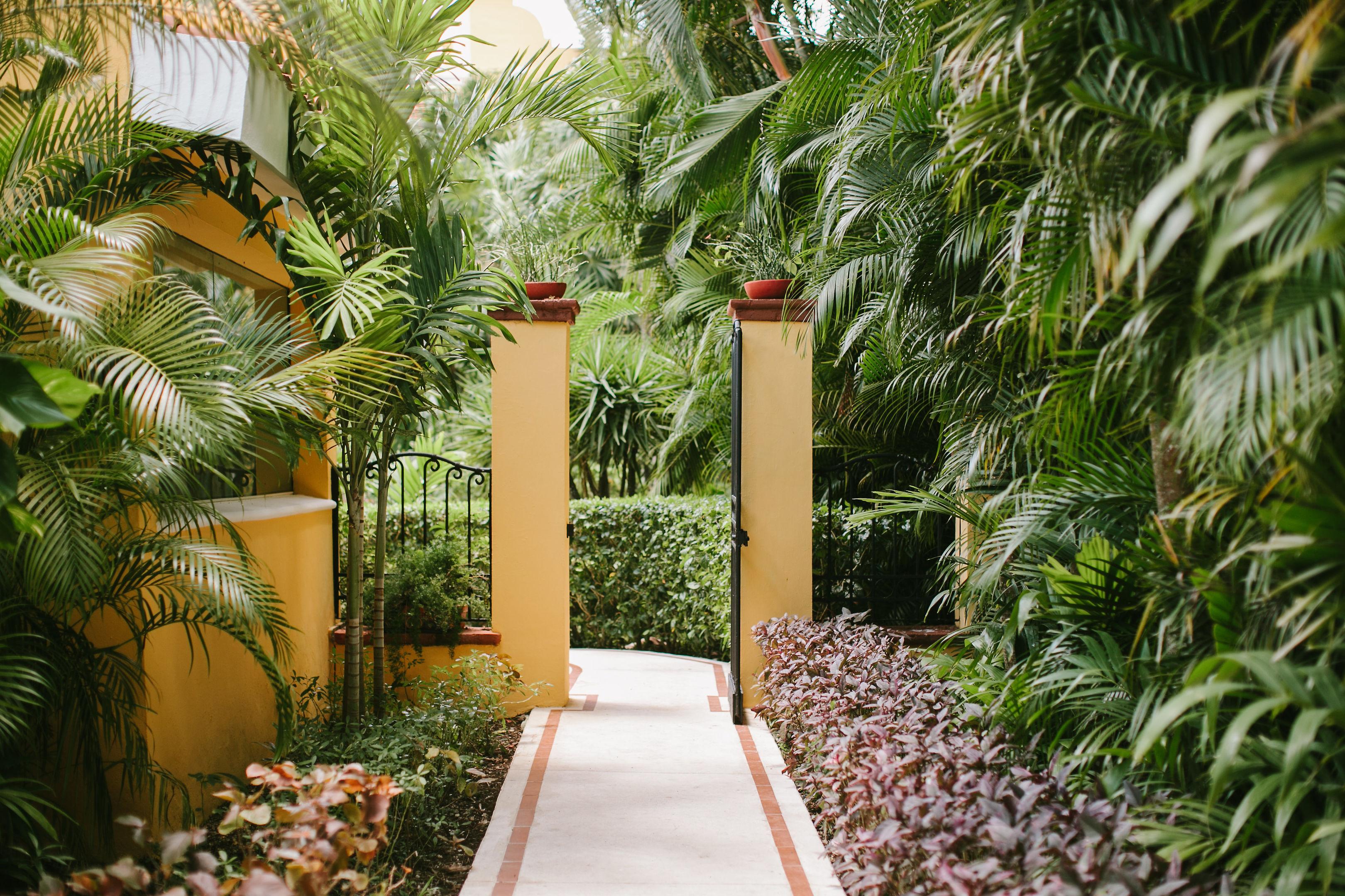 Occidental Cozumel — photo 3