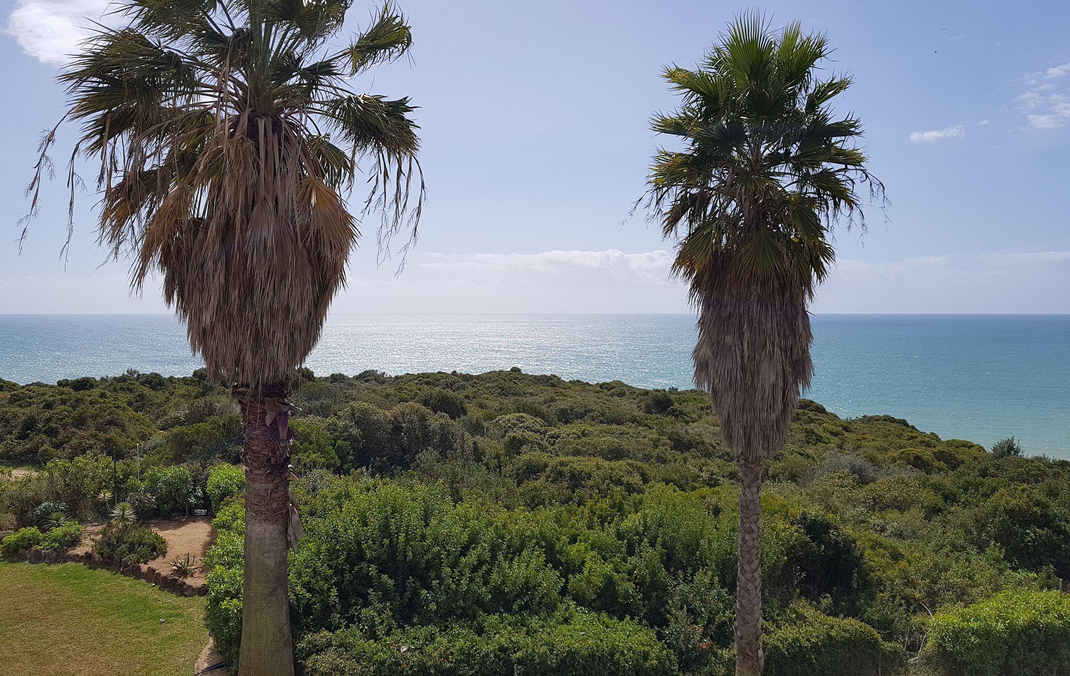 Pestana Palm Gardens — photo 5