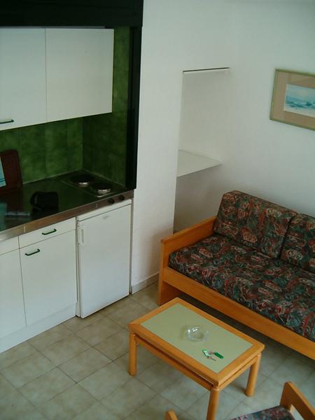 Green Garden — photo 4