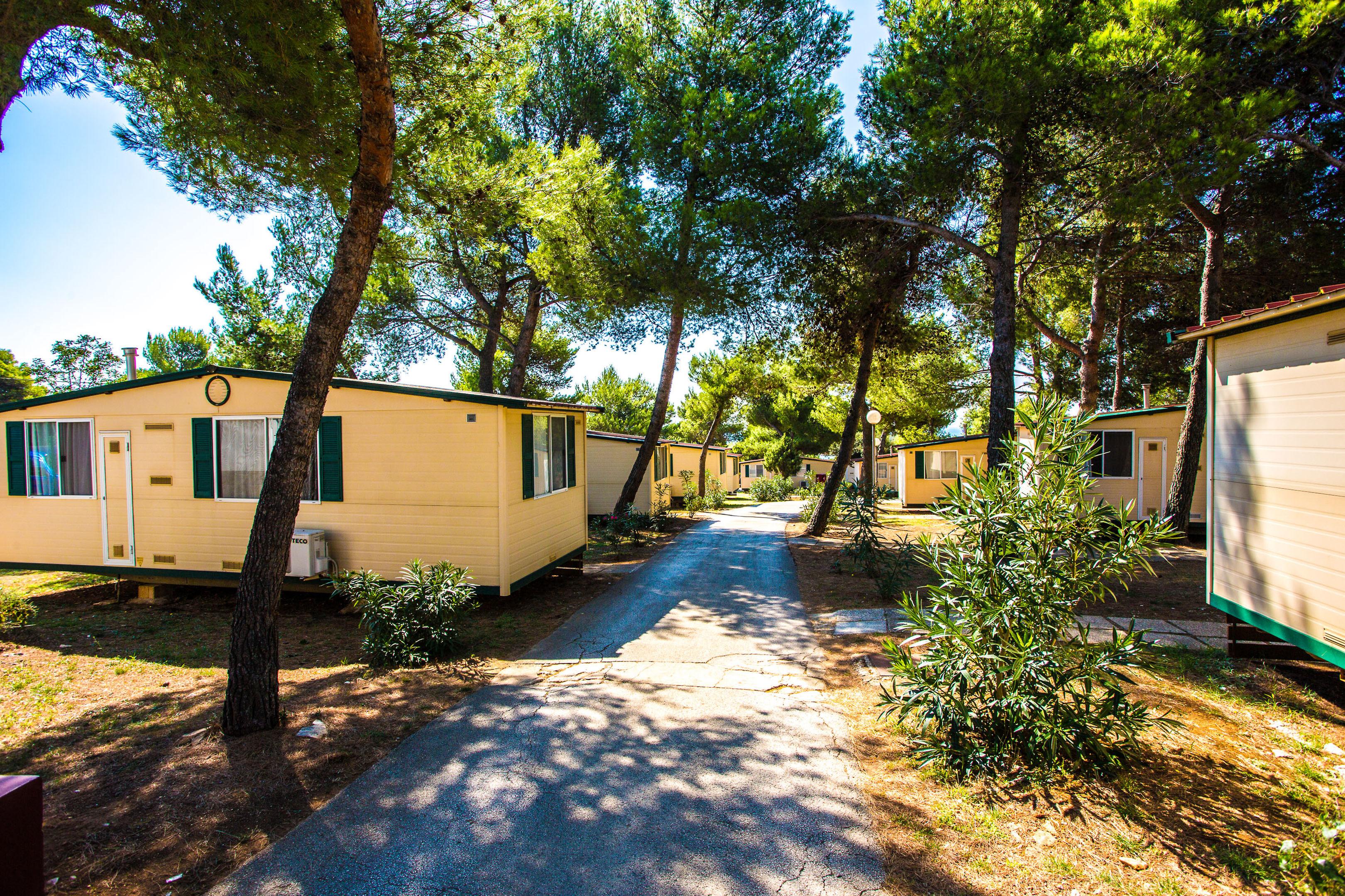 Arena Indije Campsite — photo 4