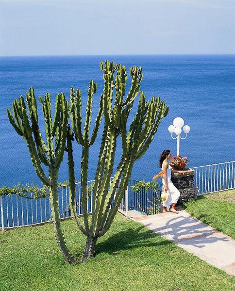 Hotel & Spa Continental Mare — photo 3