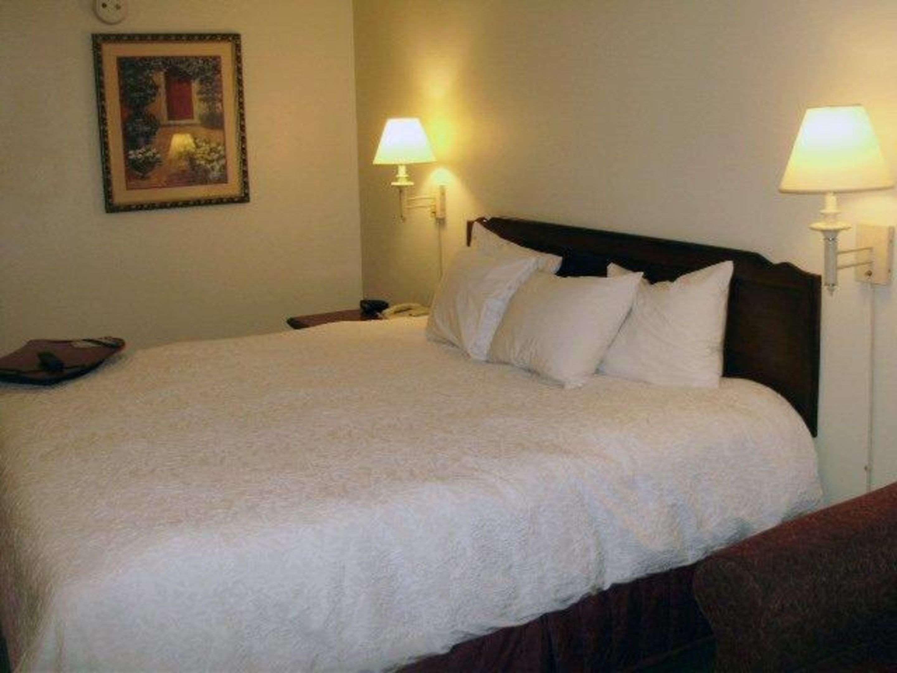 Quality Inn & Suites — photo 5