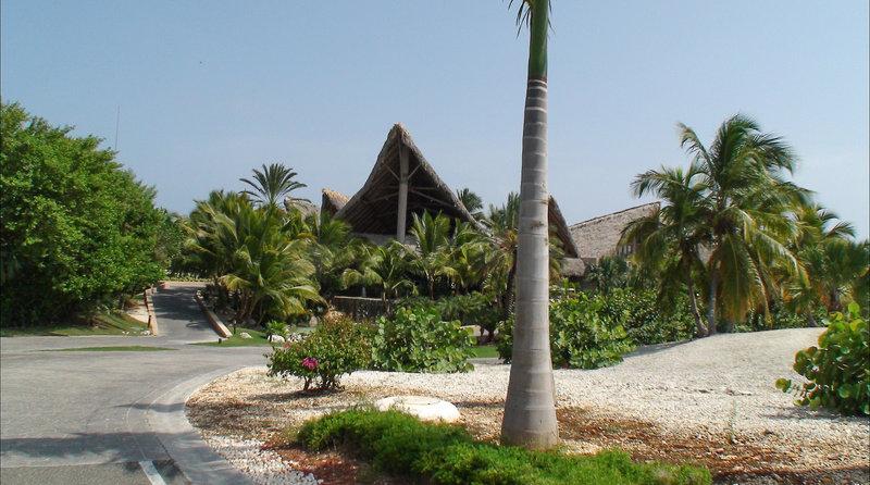 Xeliter Caleton Villas Cap Cana — photo 4