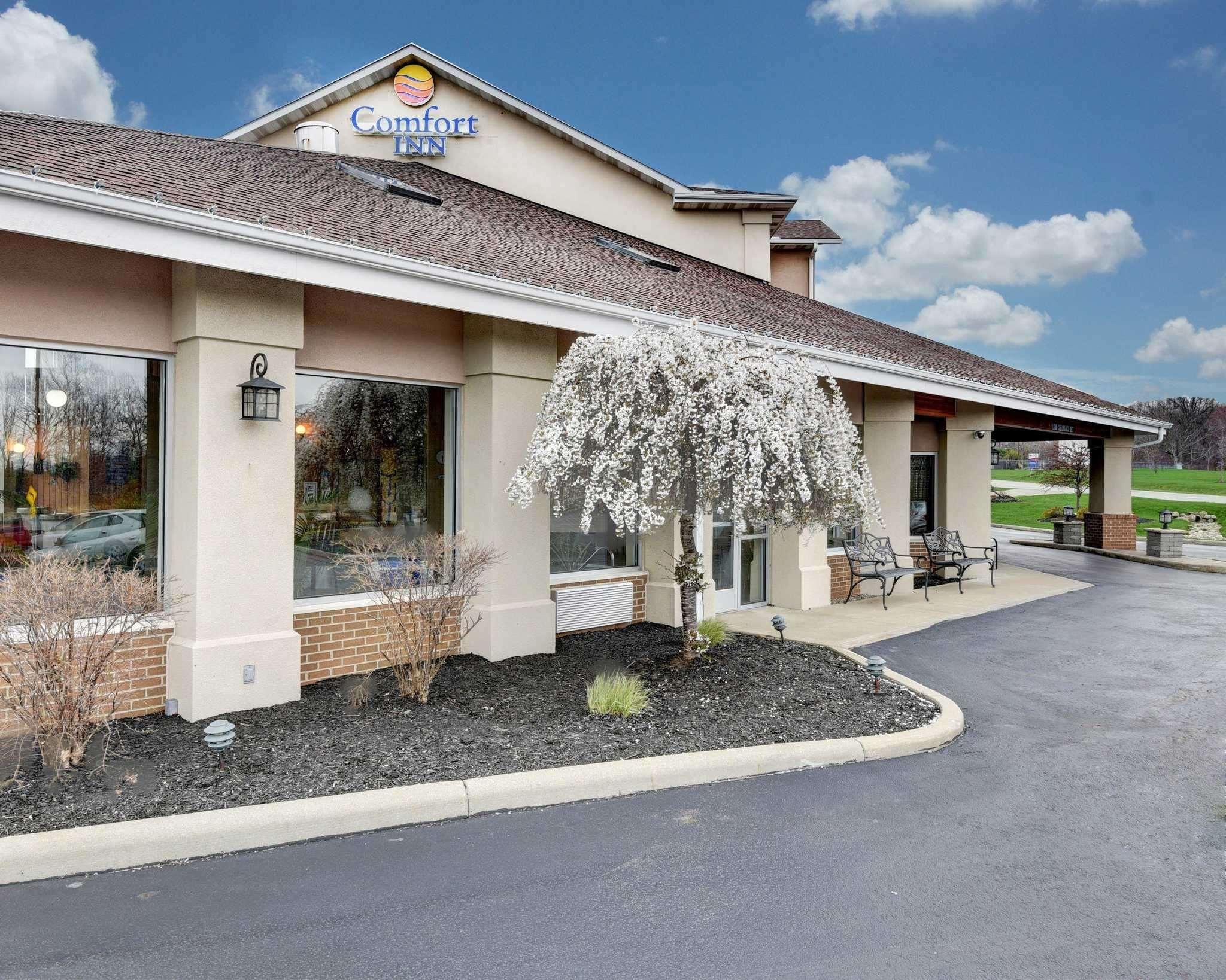 Comfort Inn — photo 3