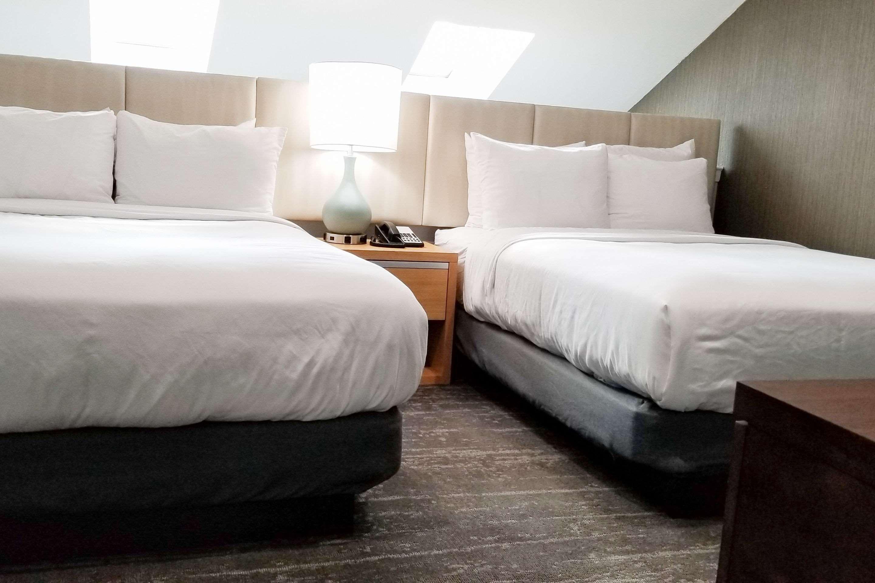 Madison Suites Hotel — photo 5