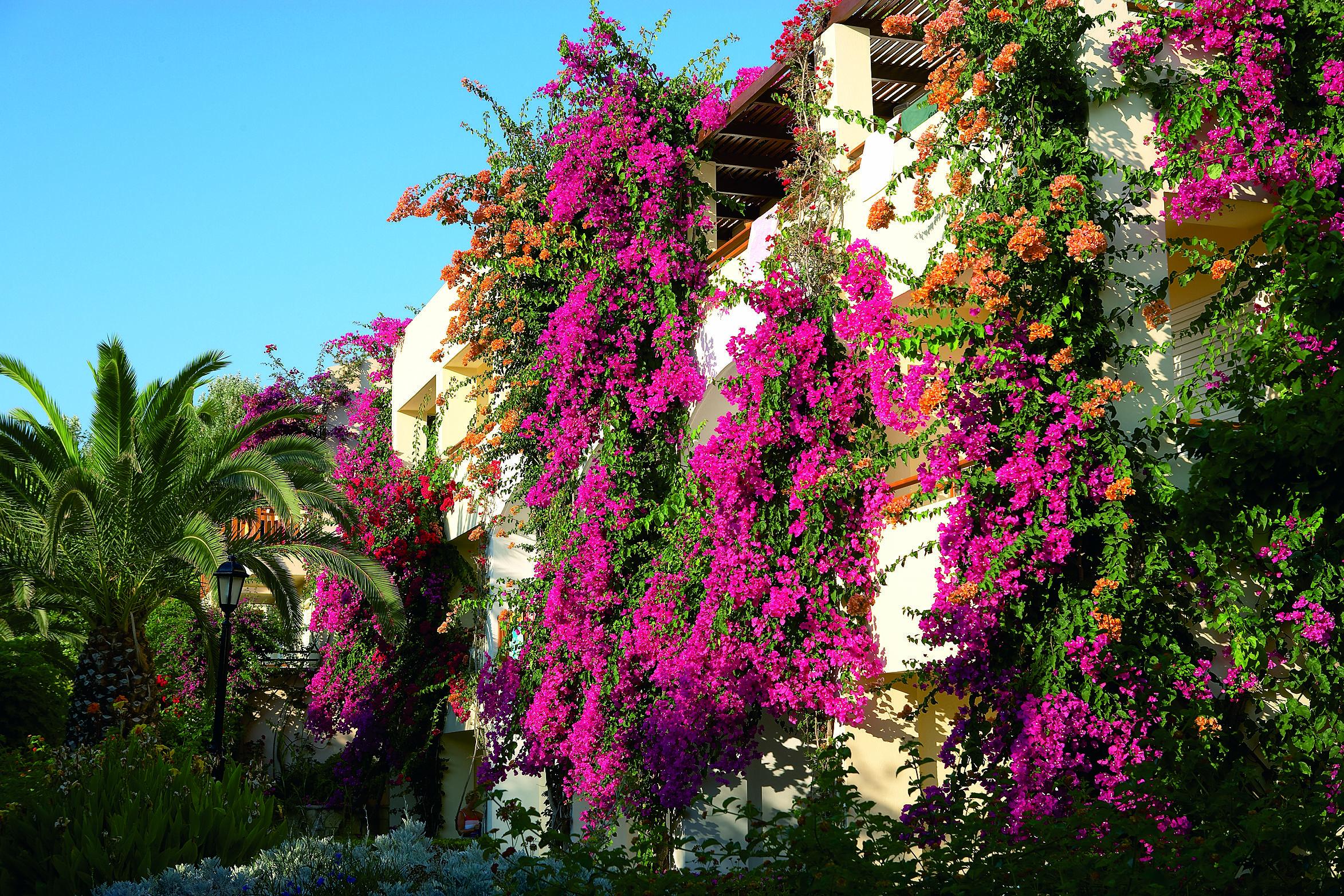 Creta Royal — photo 2