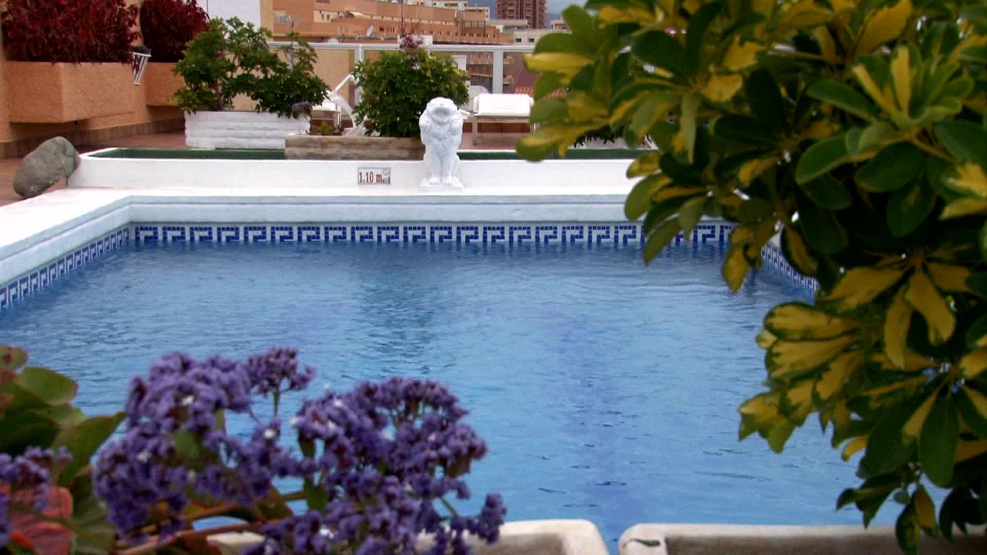 4 Dreams Hotel — photo 5