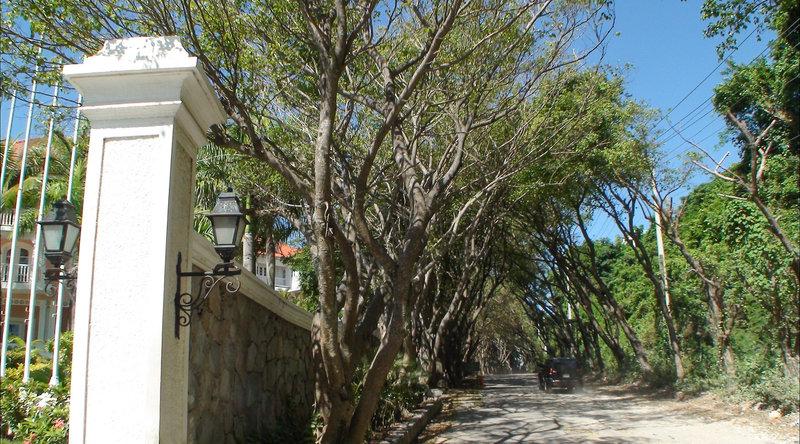 Bahia Principe Luxury Samana — photo 4