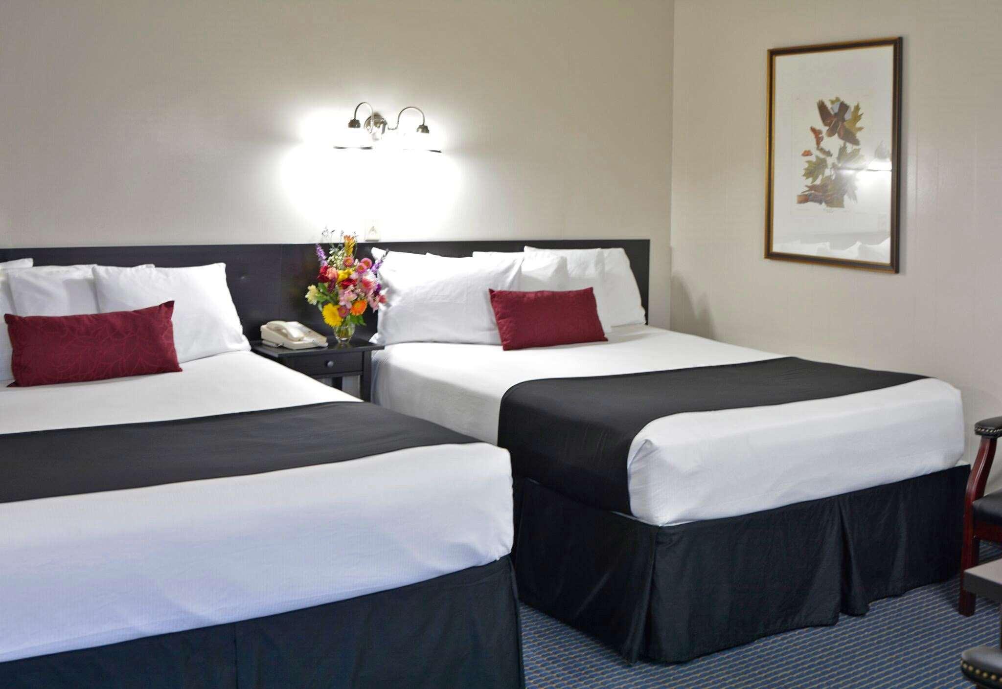Americas Best Value Inn — photo 5
