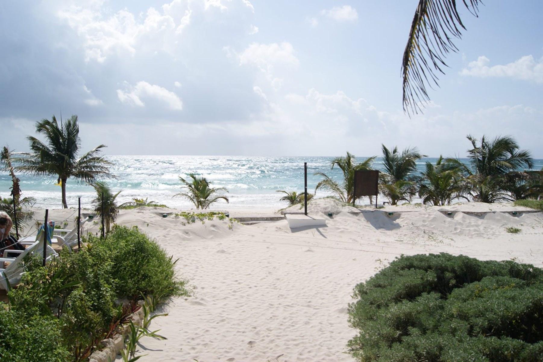 Selina Los Lirios Tulum — photo 5