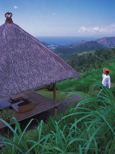 Alila Manggis — photo 2