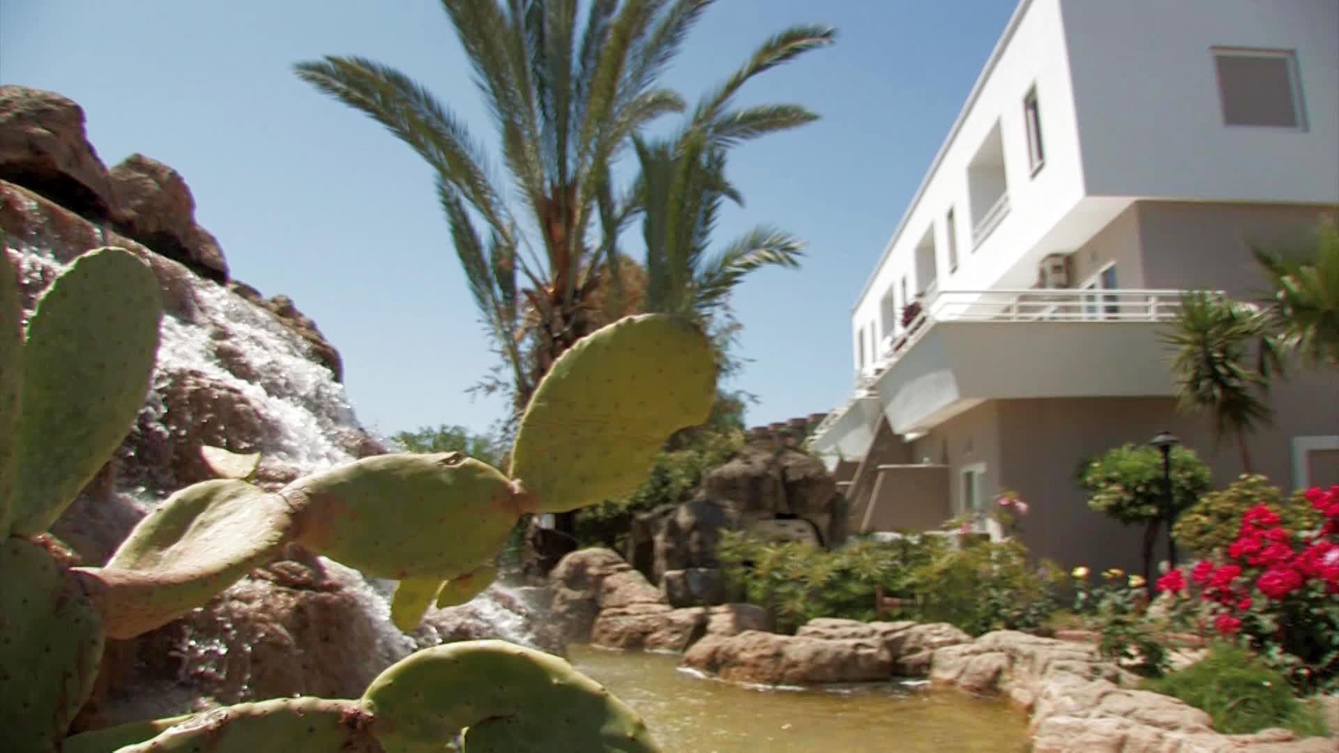 Club Mermaid Village — photo 3