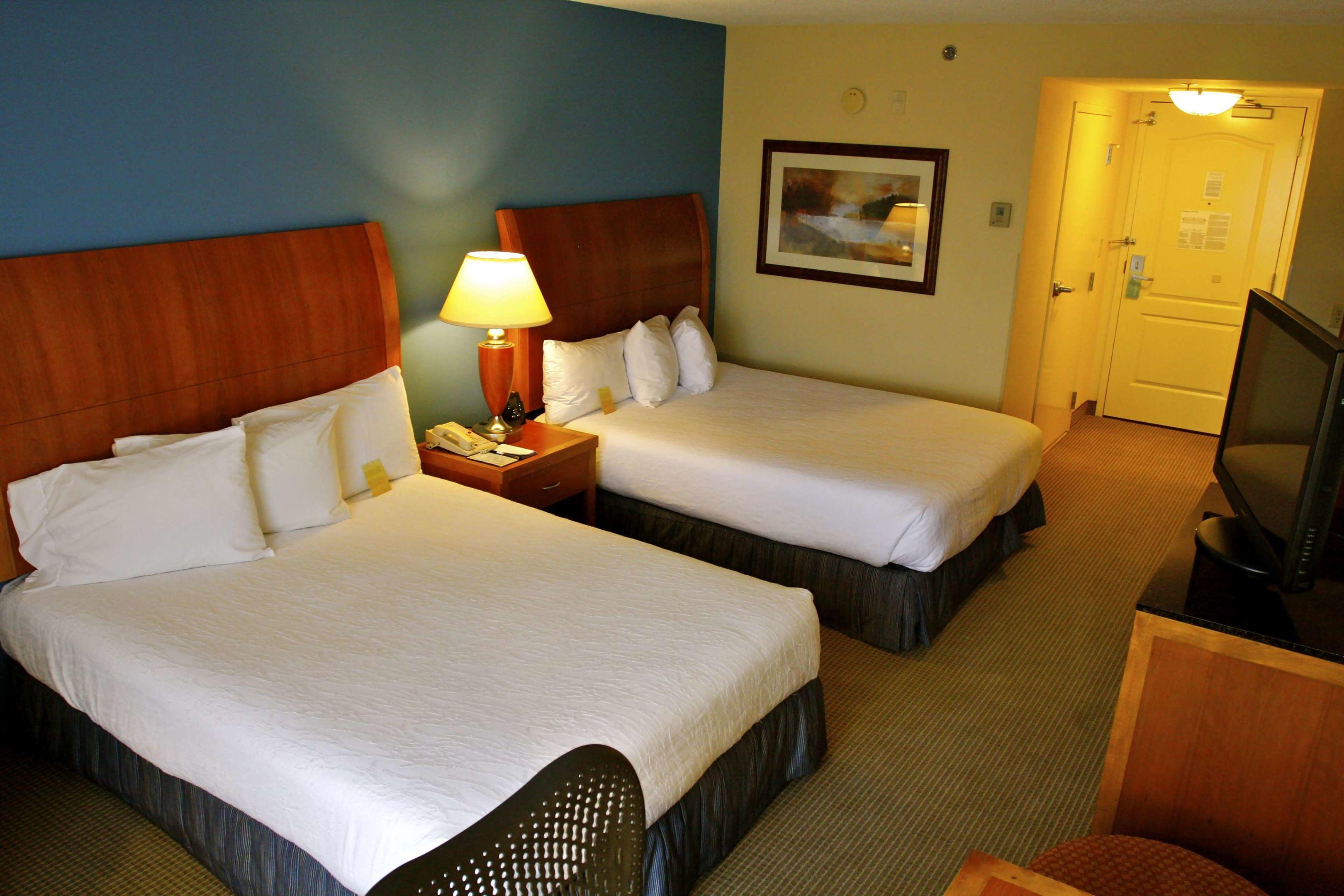 Hilton Garden Inn Albany — photo 5