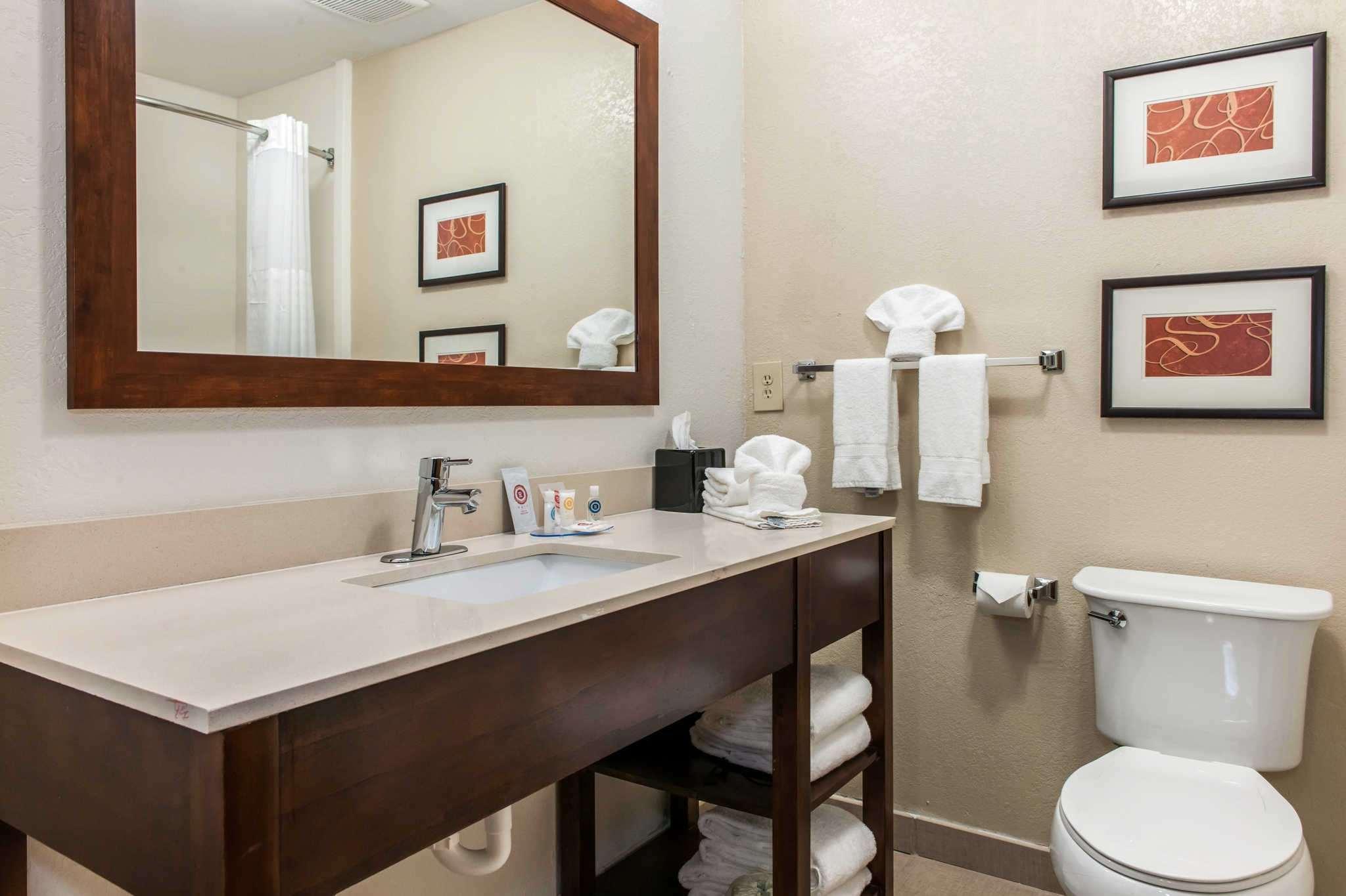 Comfort Inn Blue Ash North — photo 4
