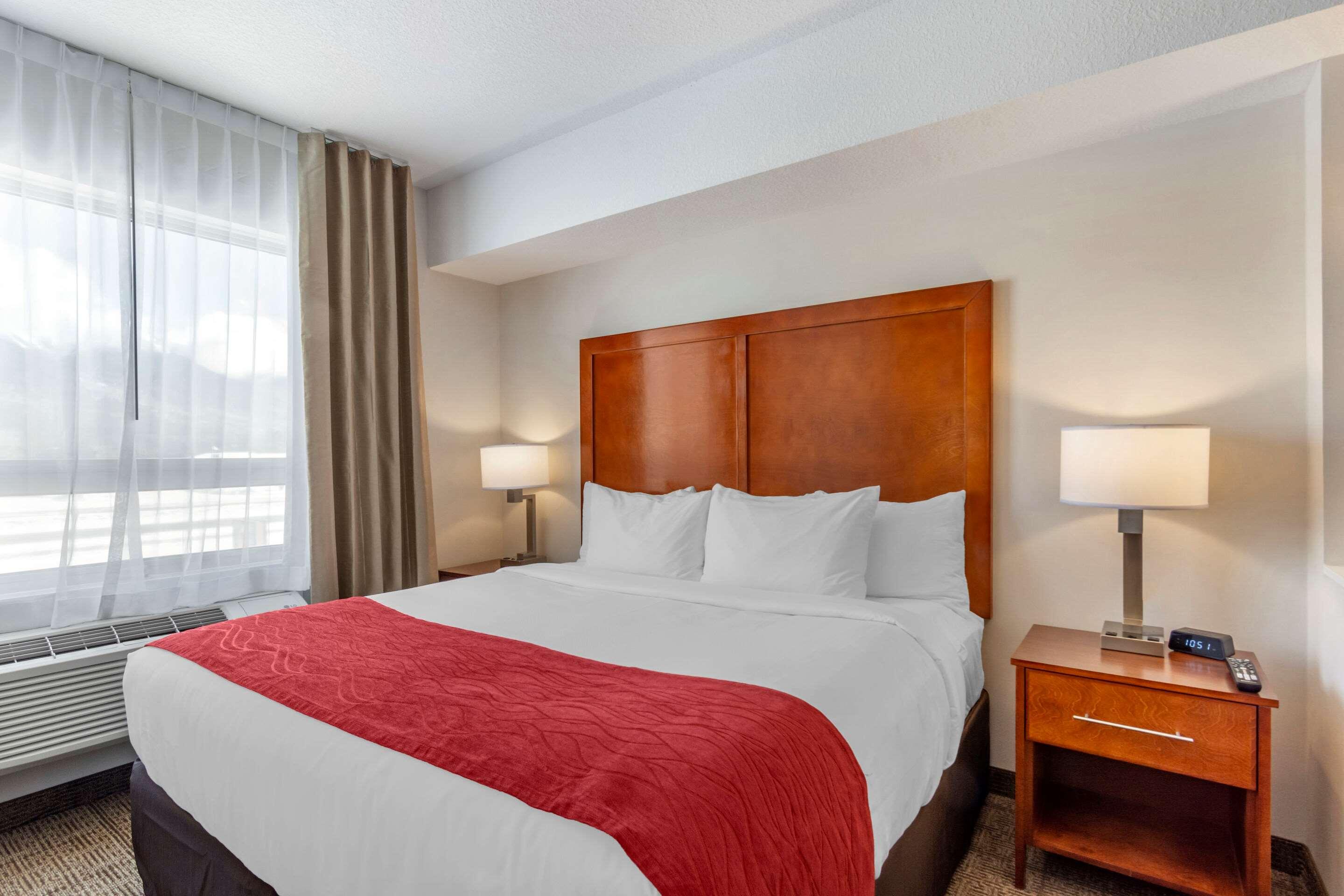 Comfort Inn & Suites — photo 5