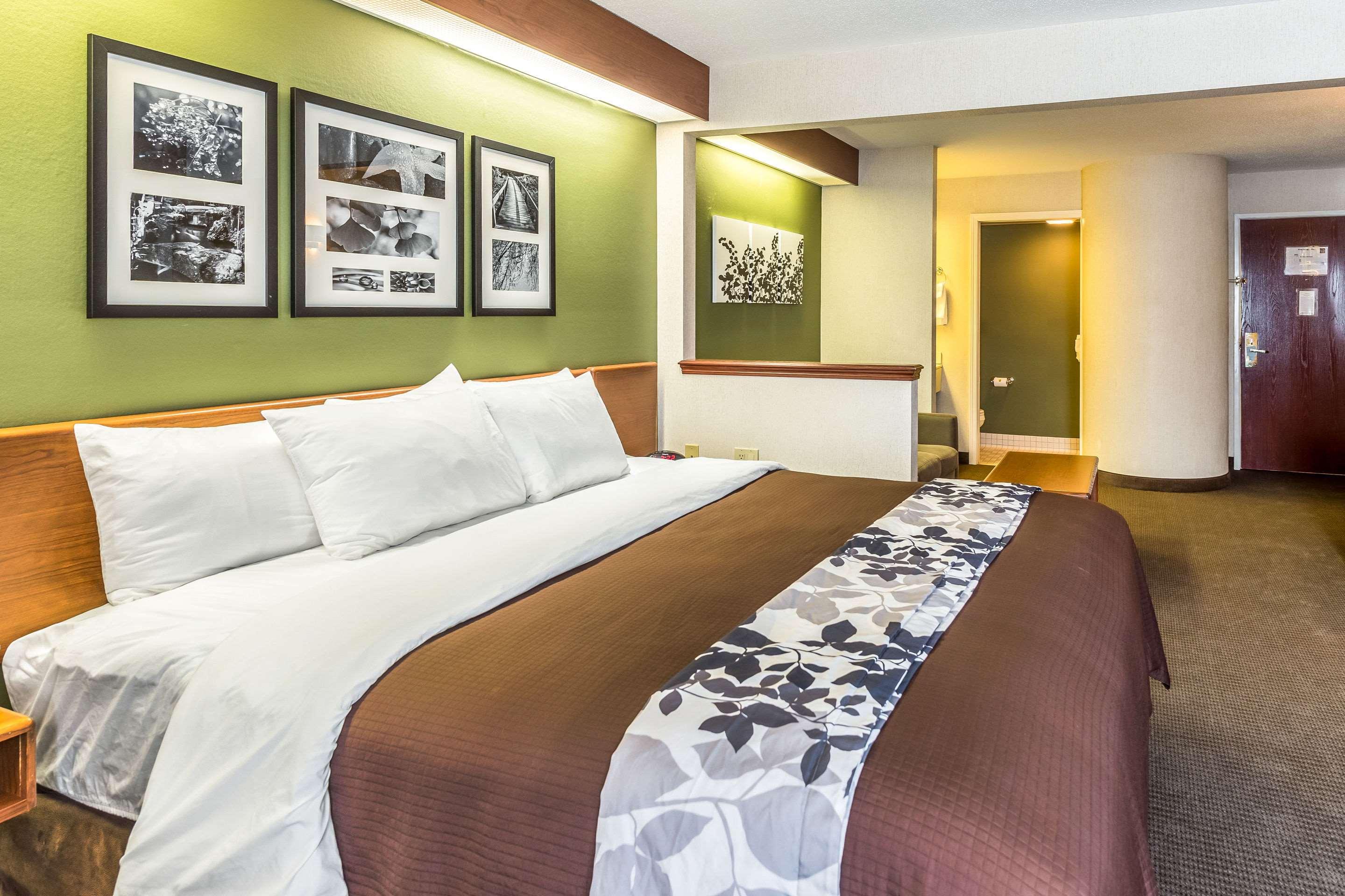 Sleep Inn & Suites Acme - Traverse City — photo 4