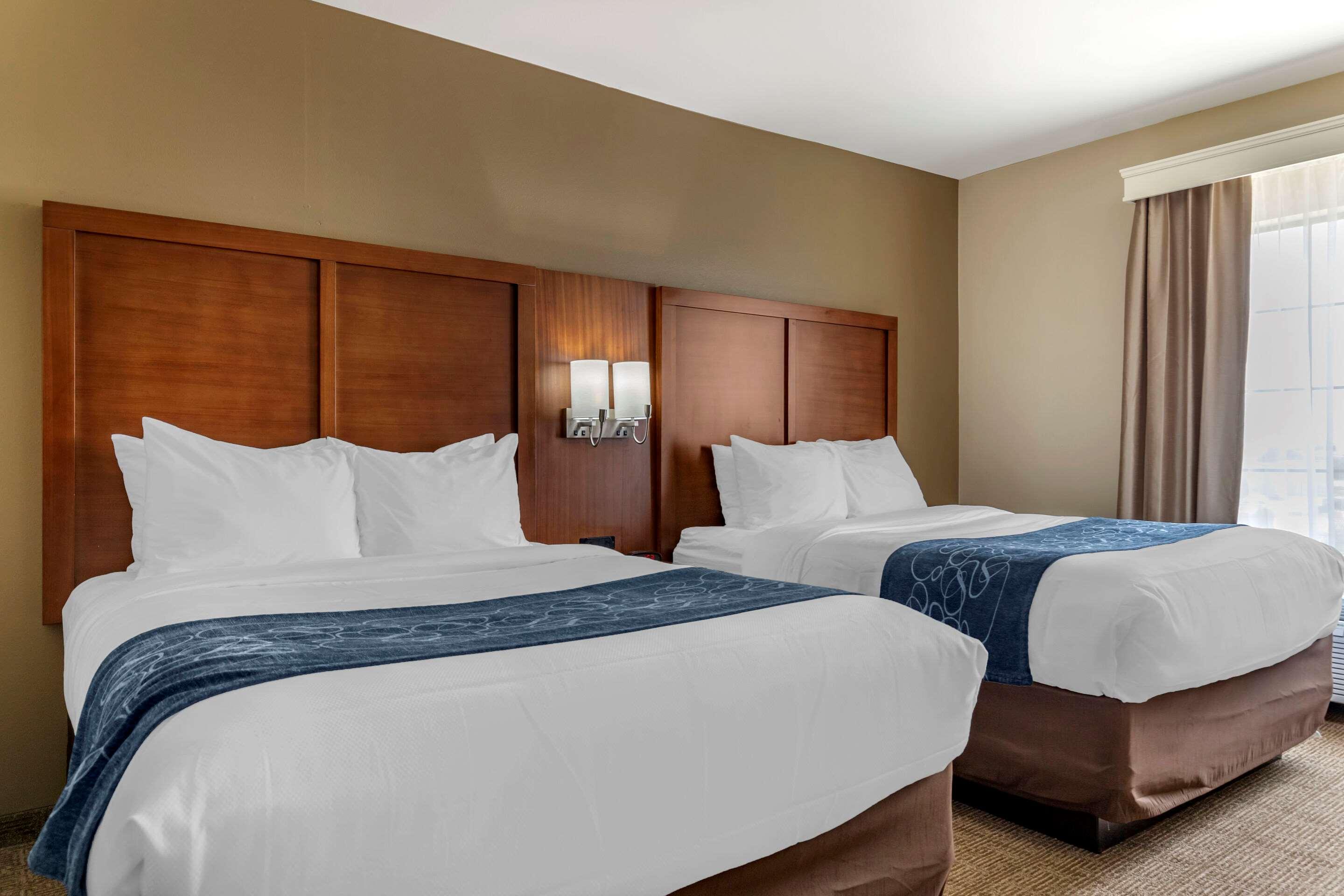 Comfort Suites Buda - Austin South — photo 5